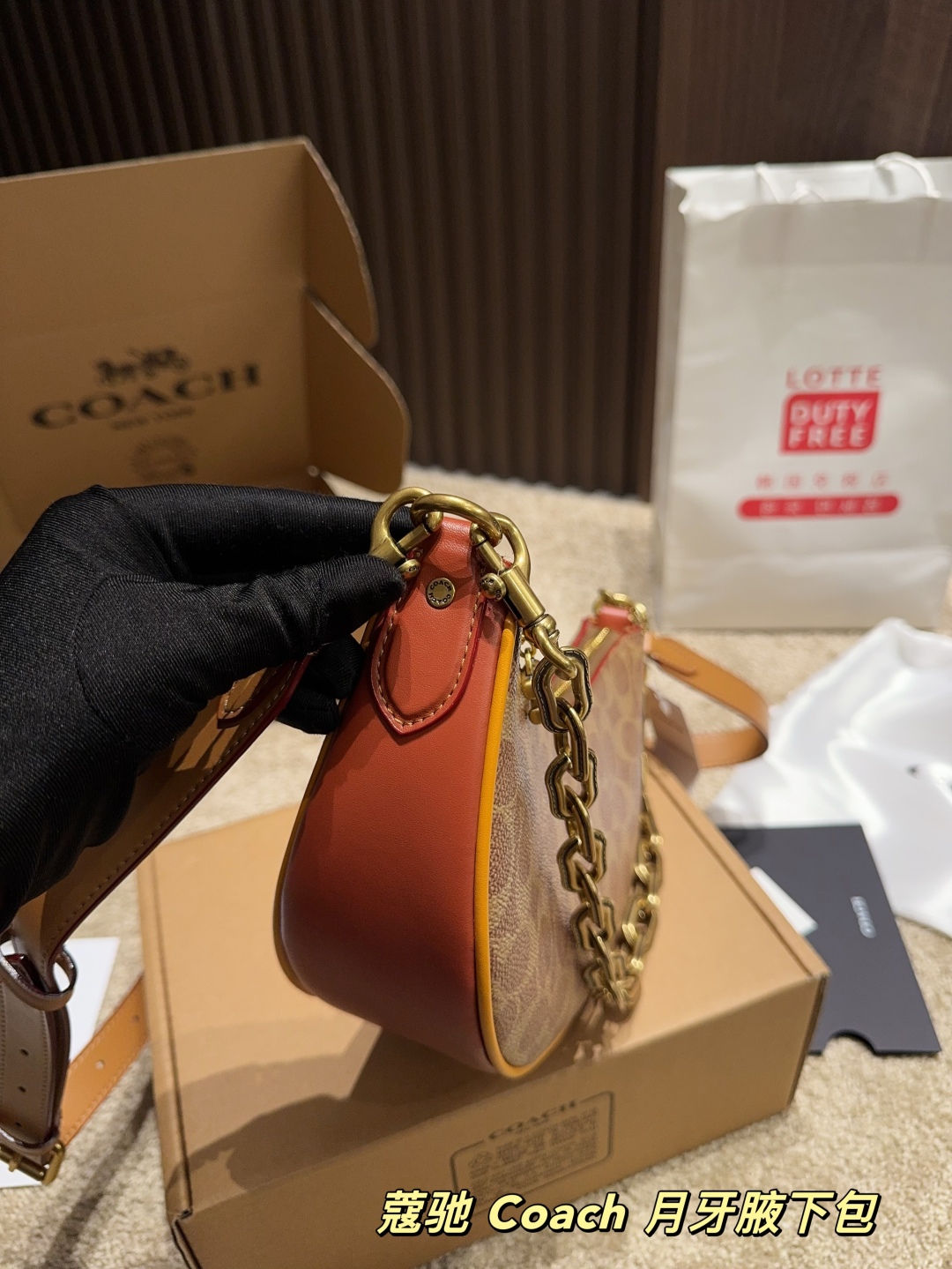 Coach Crescent Underarm Bag