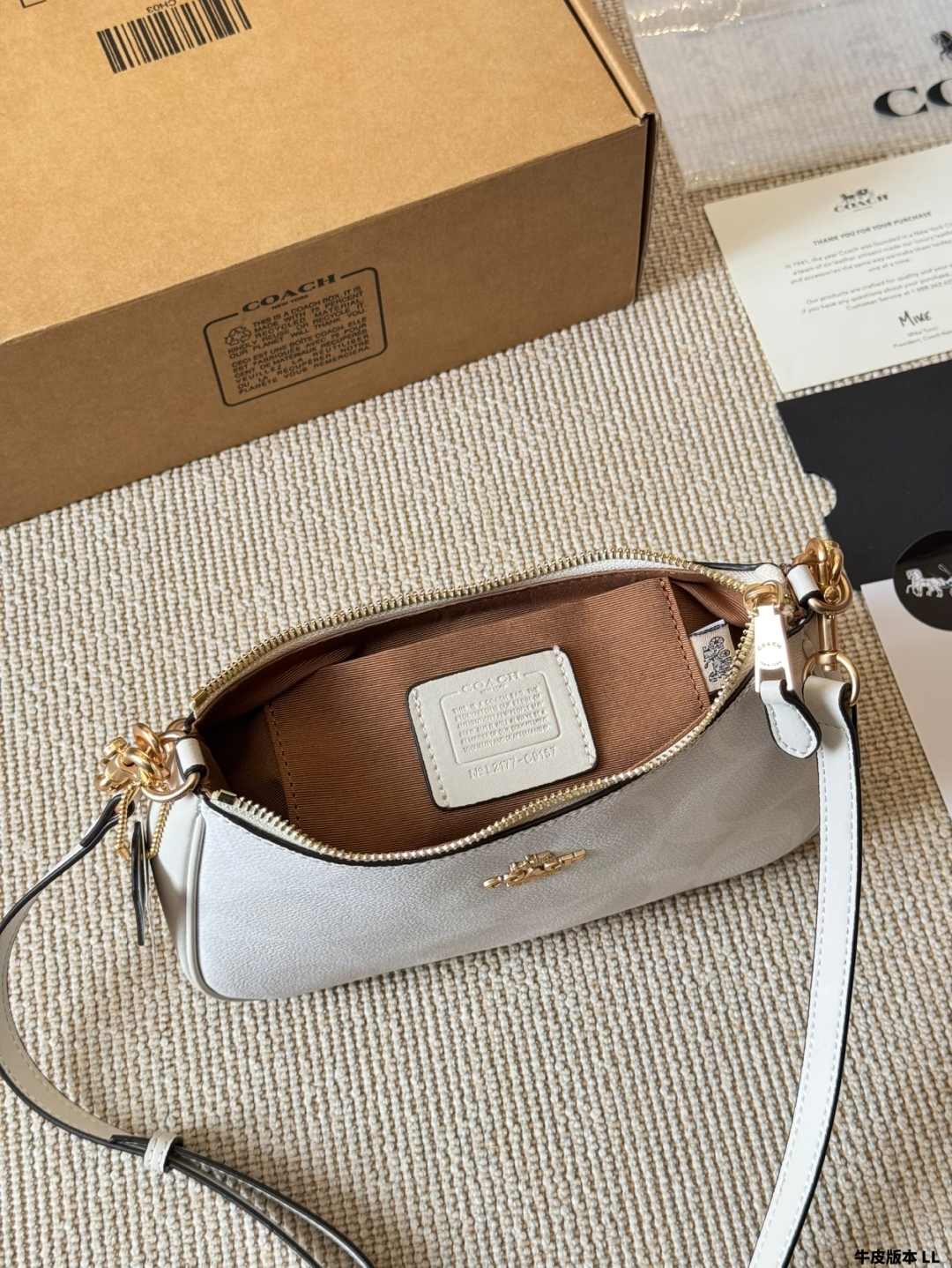 Coach Teri series armpit bag