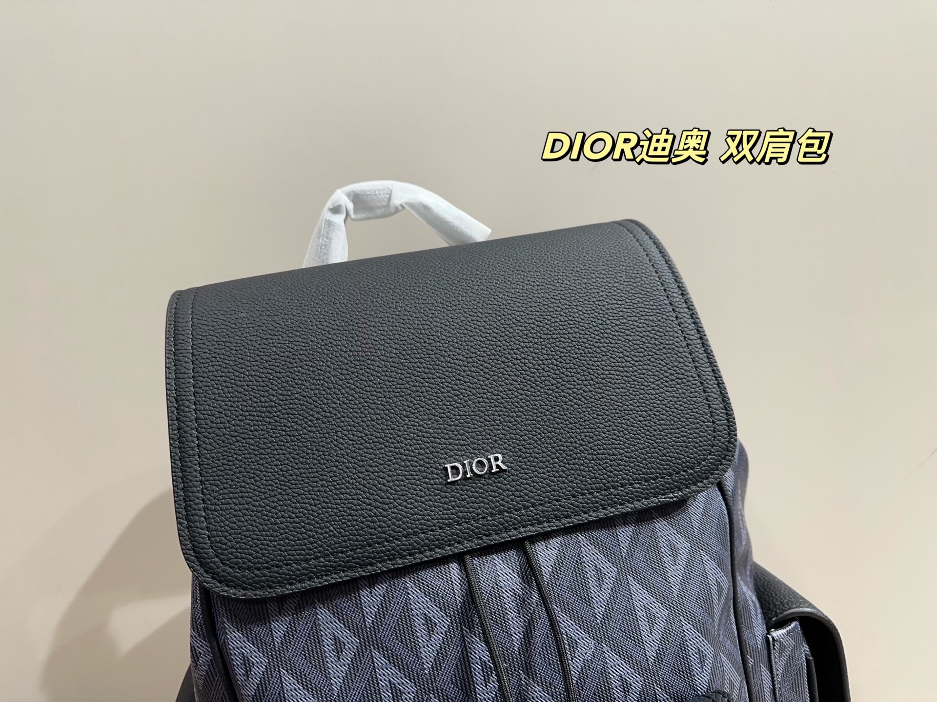 DIOR backpack