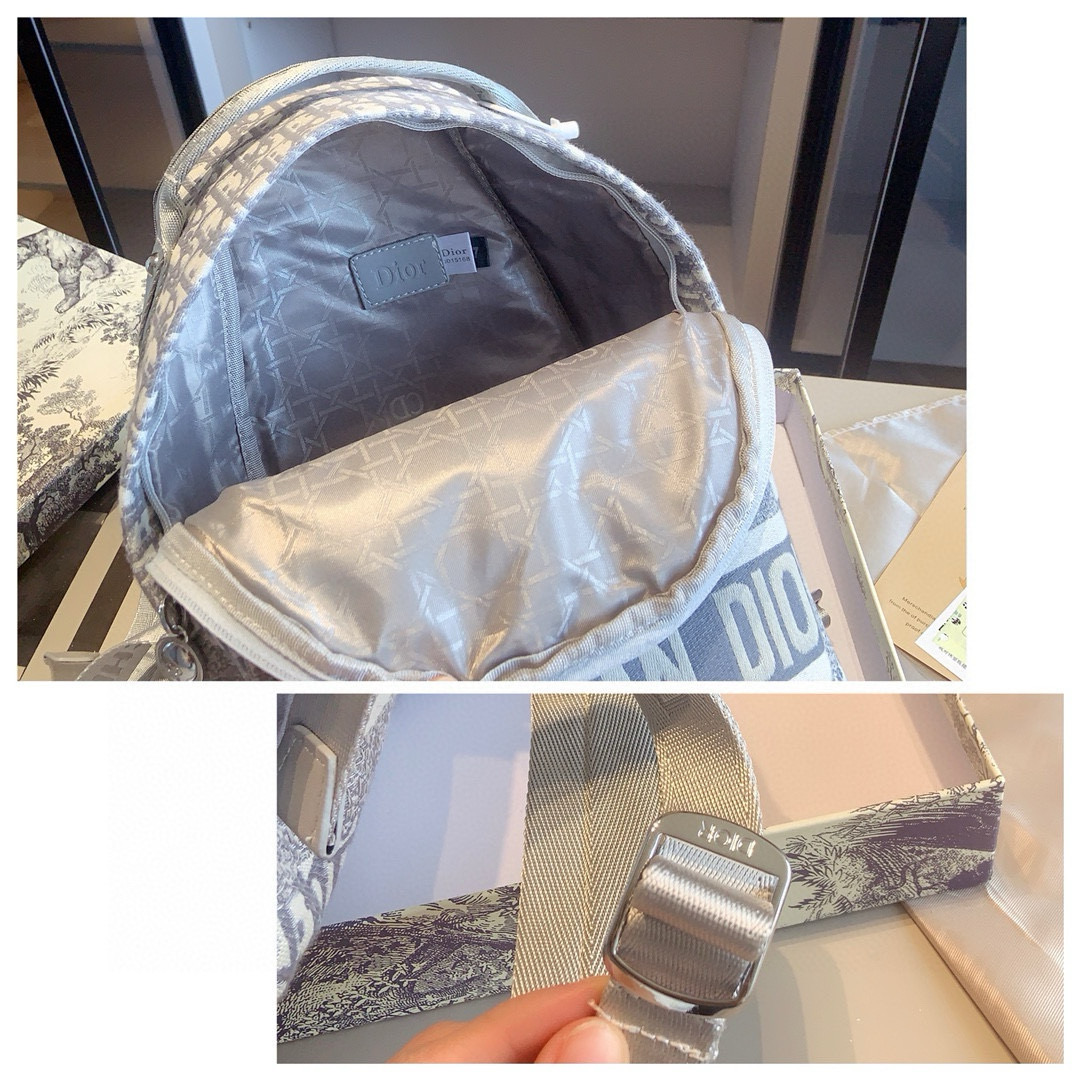 Dior embroidered backpack