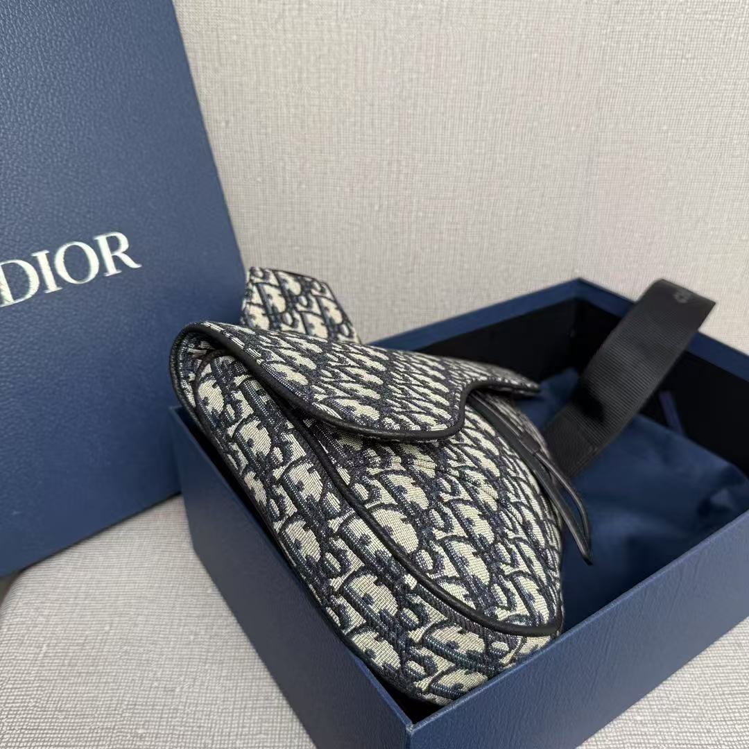 DIOR Saddle Oblique bag