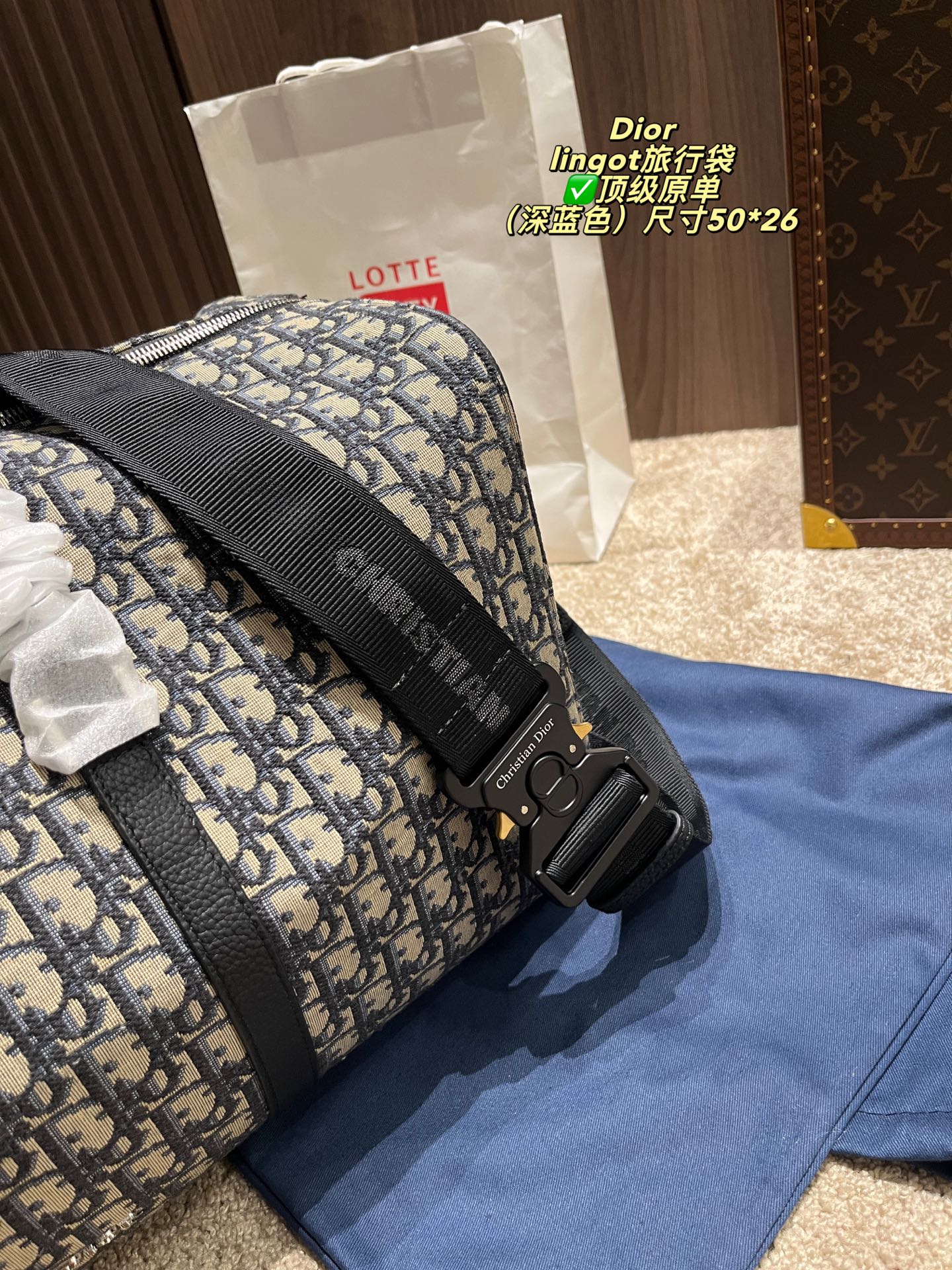 DIOR canvas travel bag