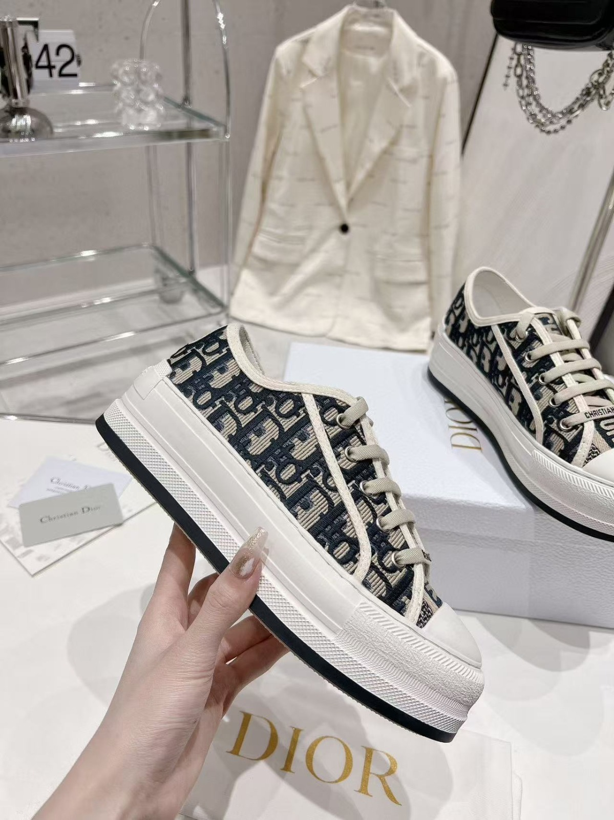 DIOR canvas shoes
