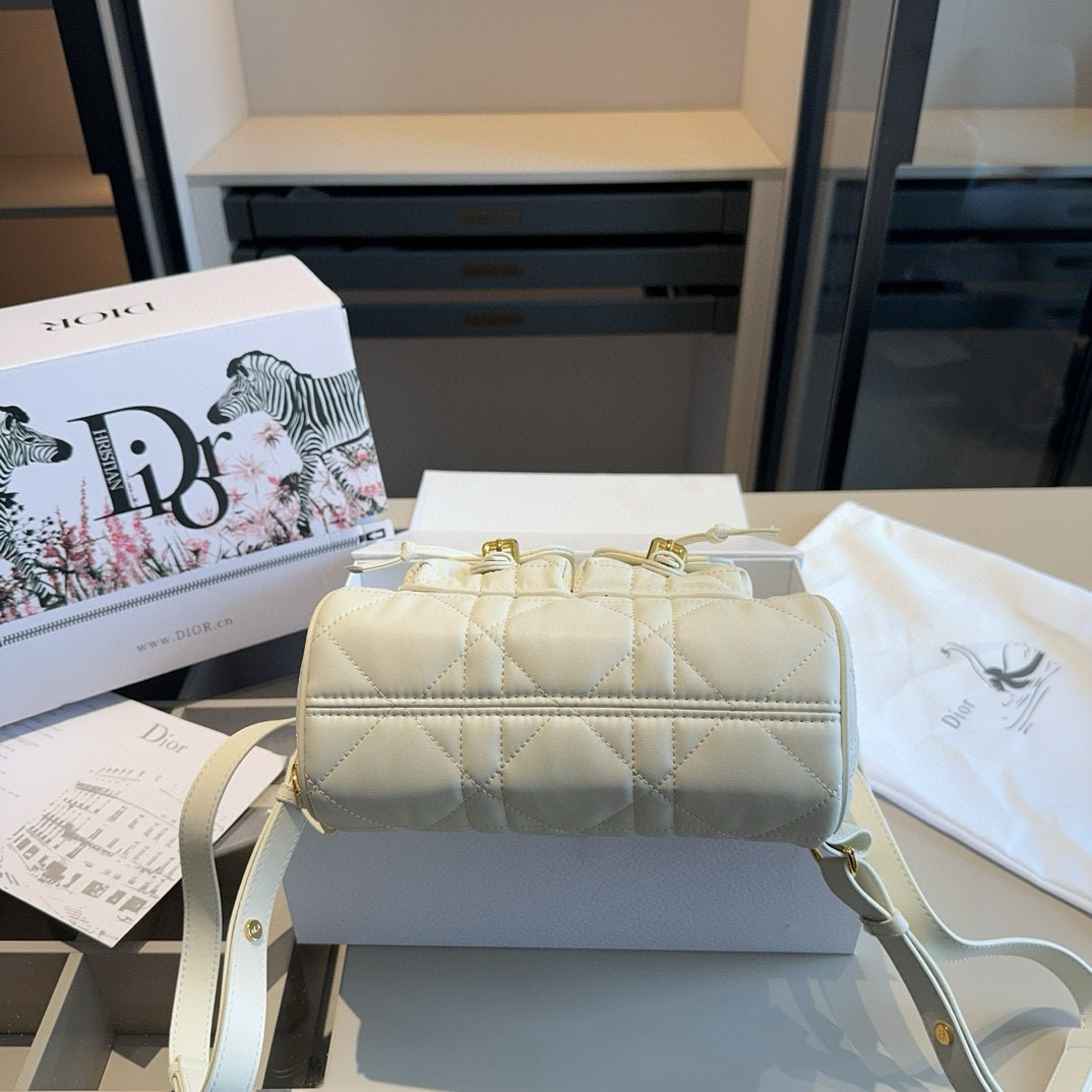 Dior CARO backpack