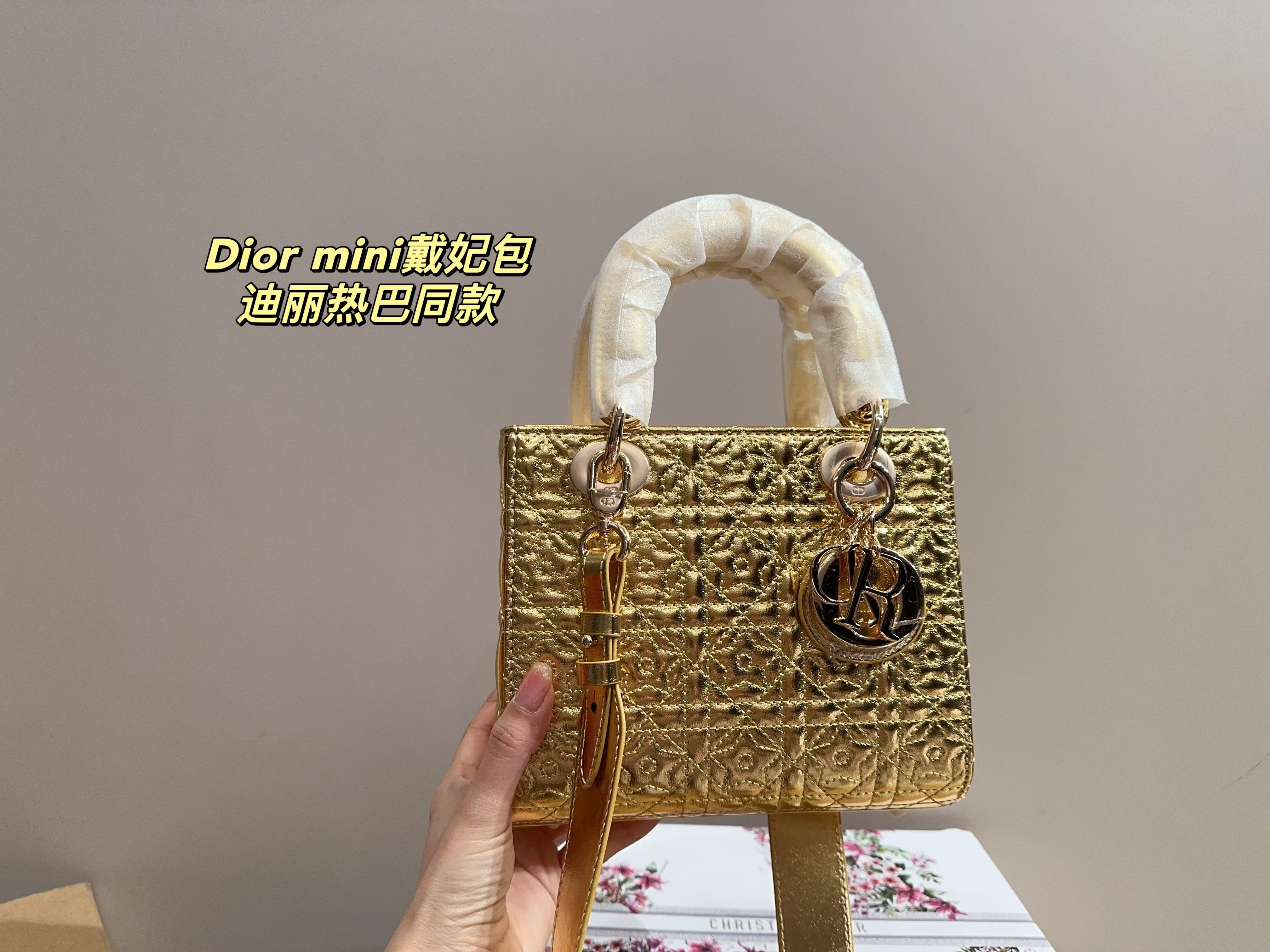 Dior mini handbag