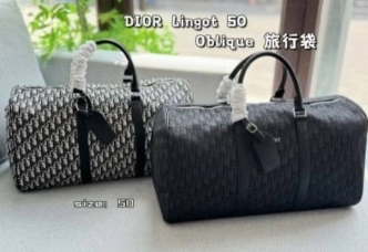 DIOR Lingot 50 handbag Oblique travel bag