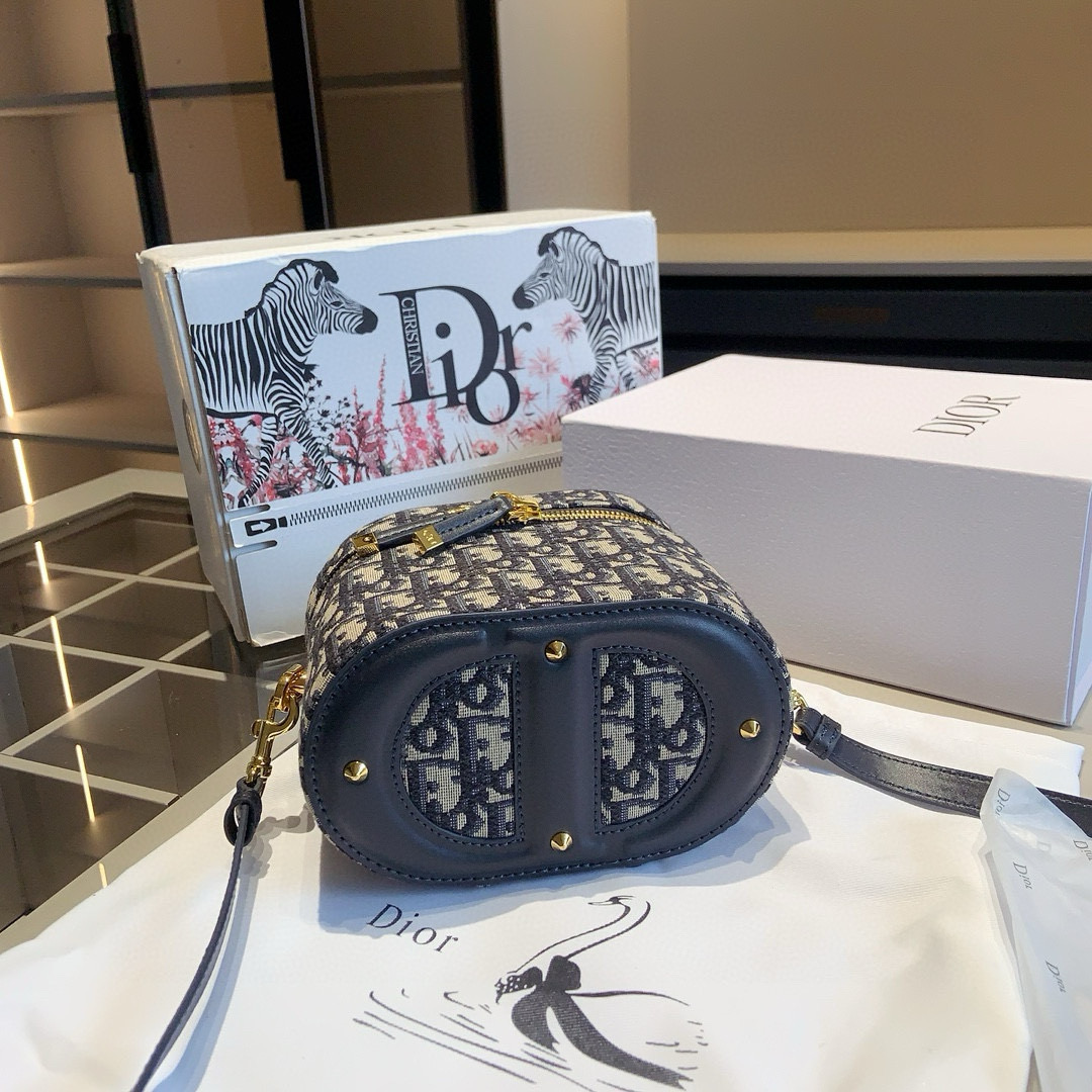 Dior Oblique Mini Case Bag