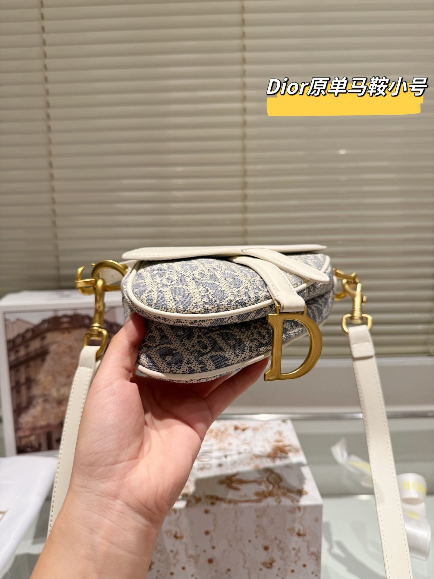 DIOR's new saddle bag