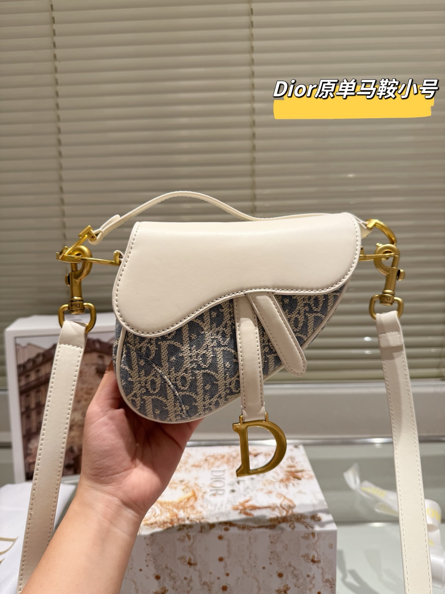 DIOR's new saddle bag