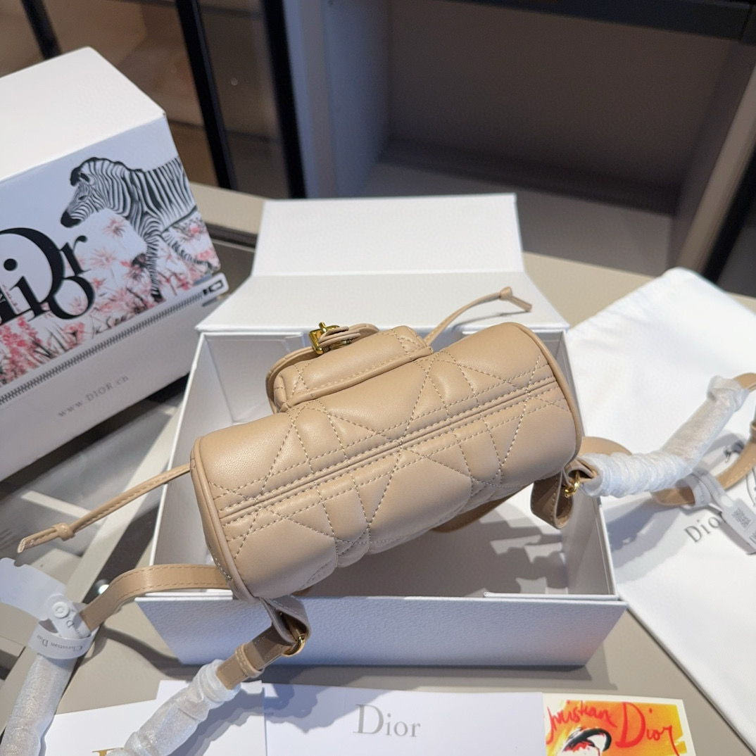 Dior CARO backpack