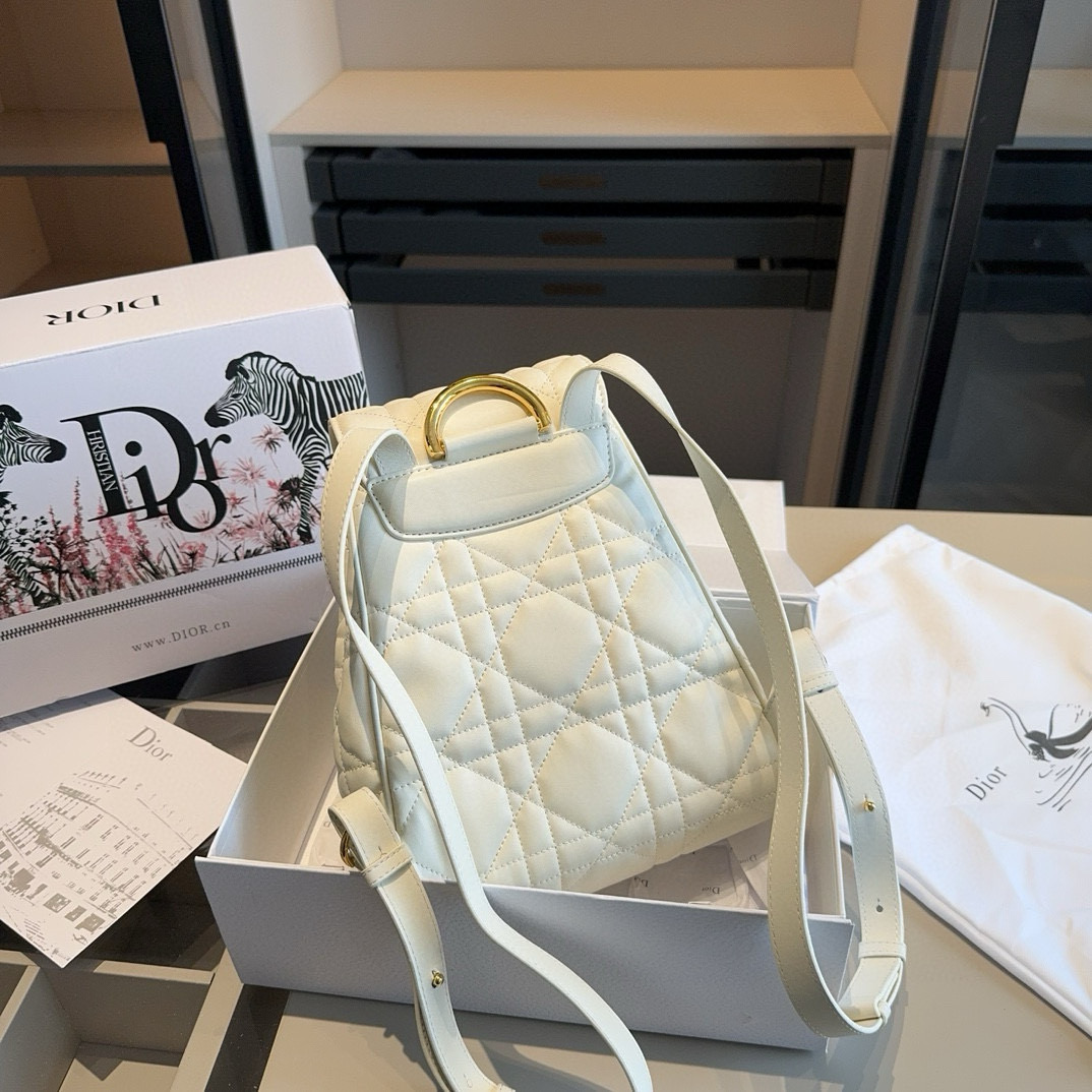 Dior CARO backpack