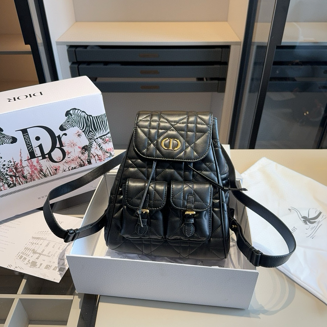 Dior CARO backpack