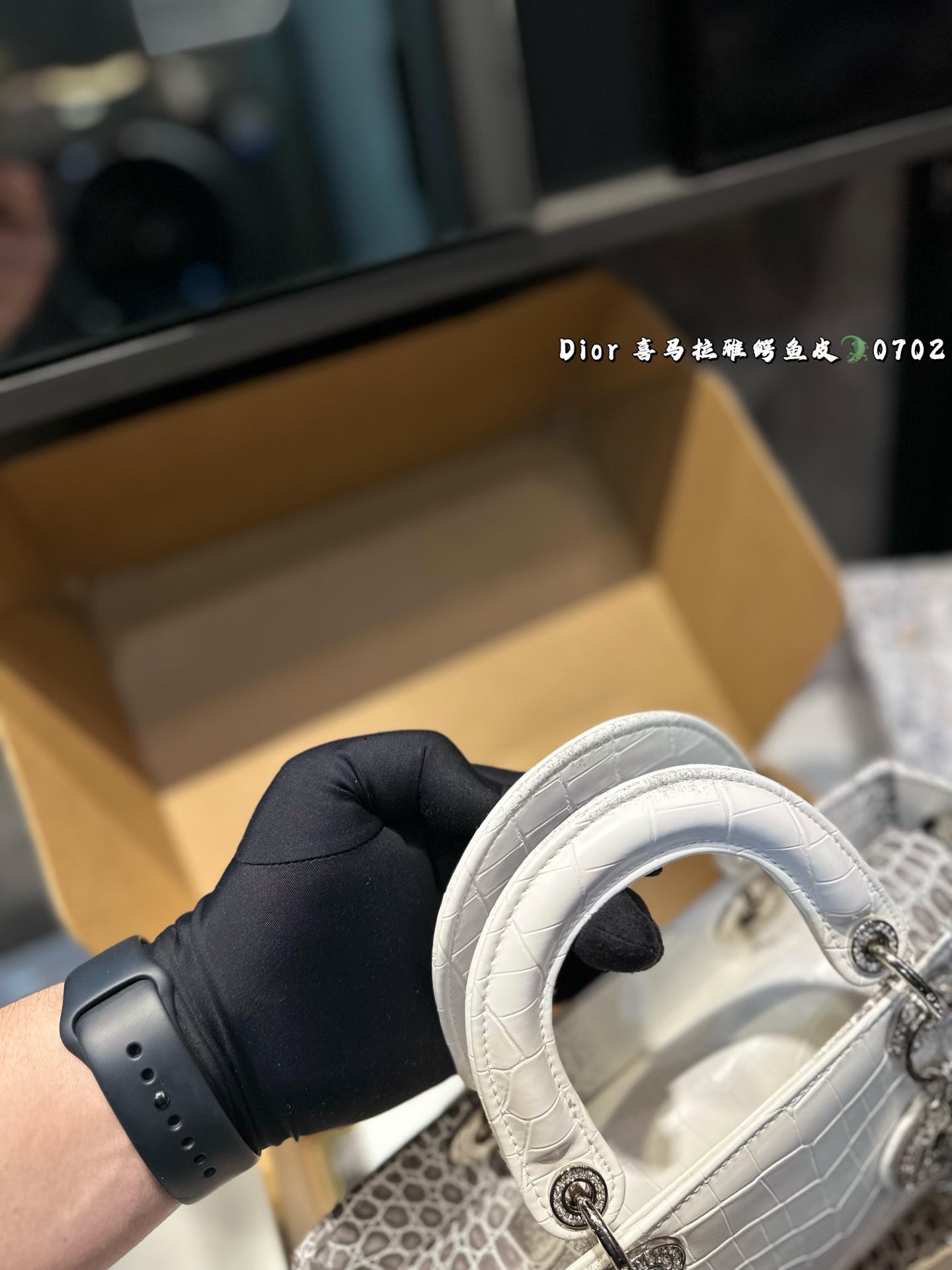 DIOR Lady D-joy horizontal Diana bag