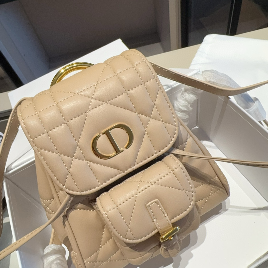 Dior CARO backpack