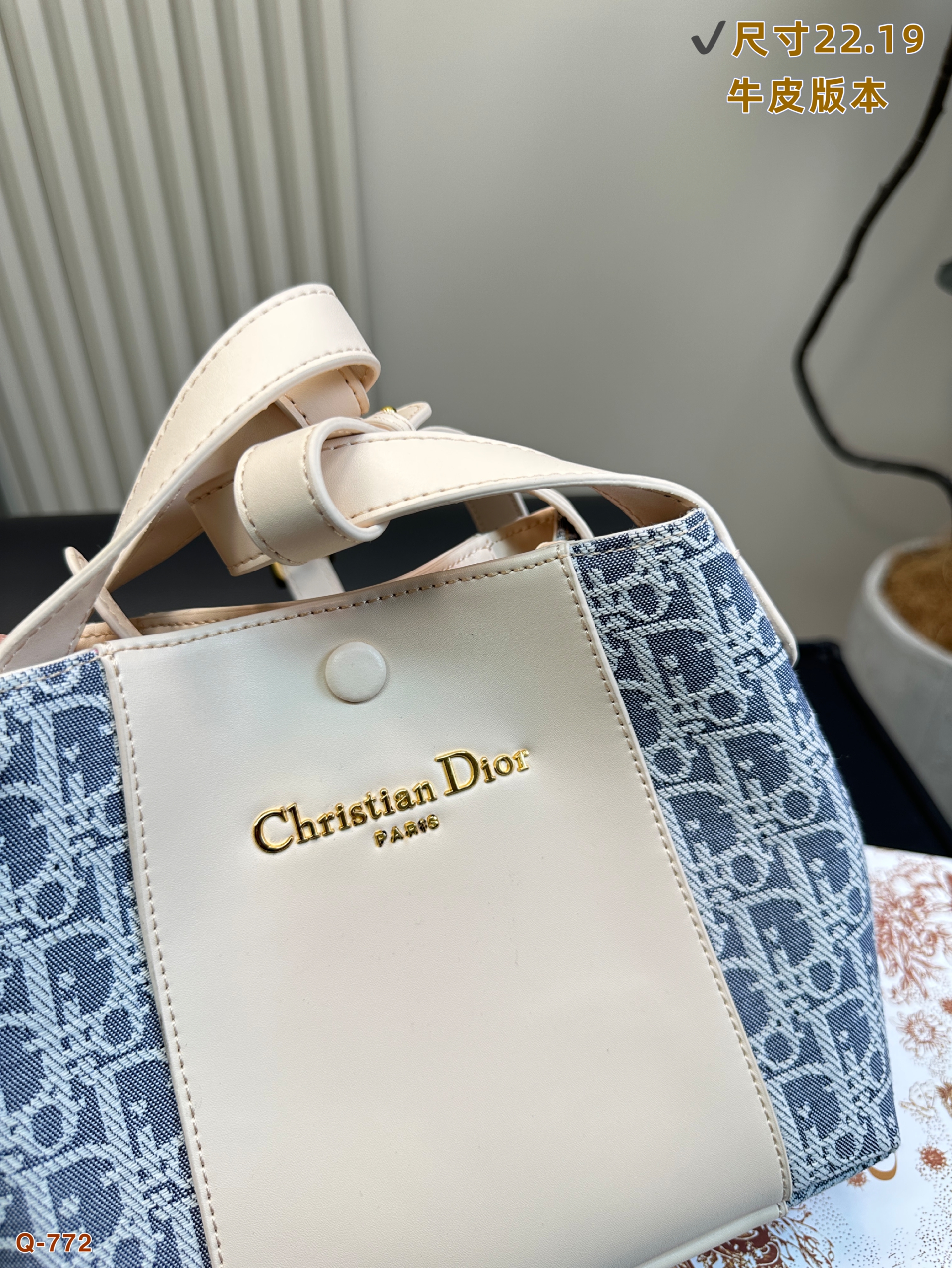 Dior Signature bucket bag