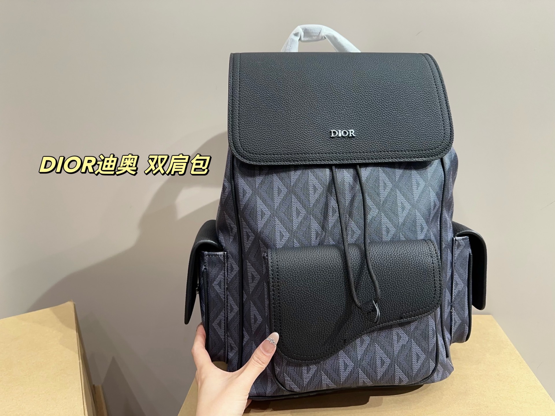 DIOR backpack