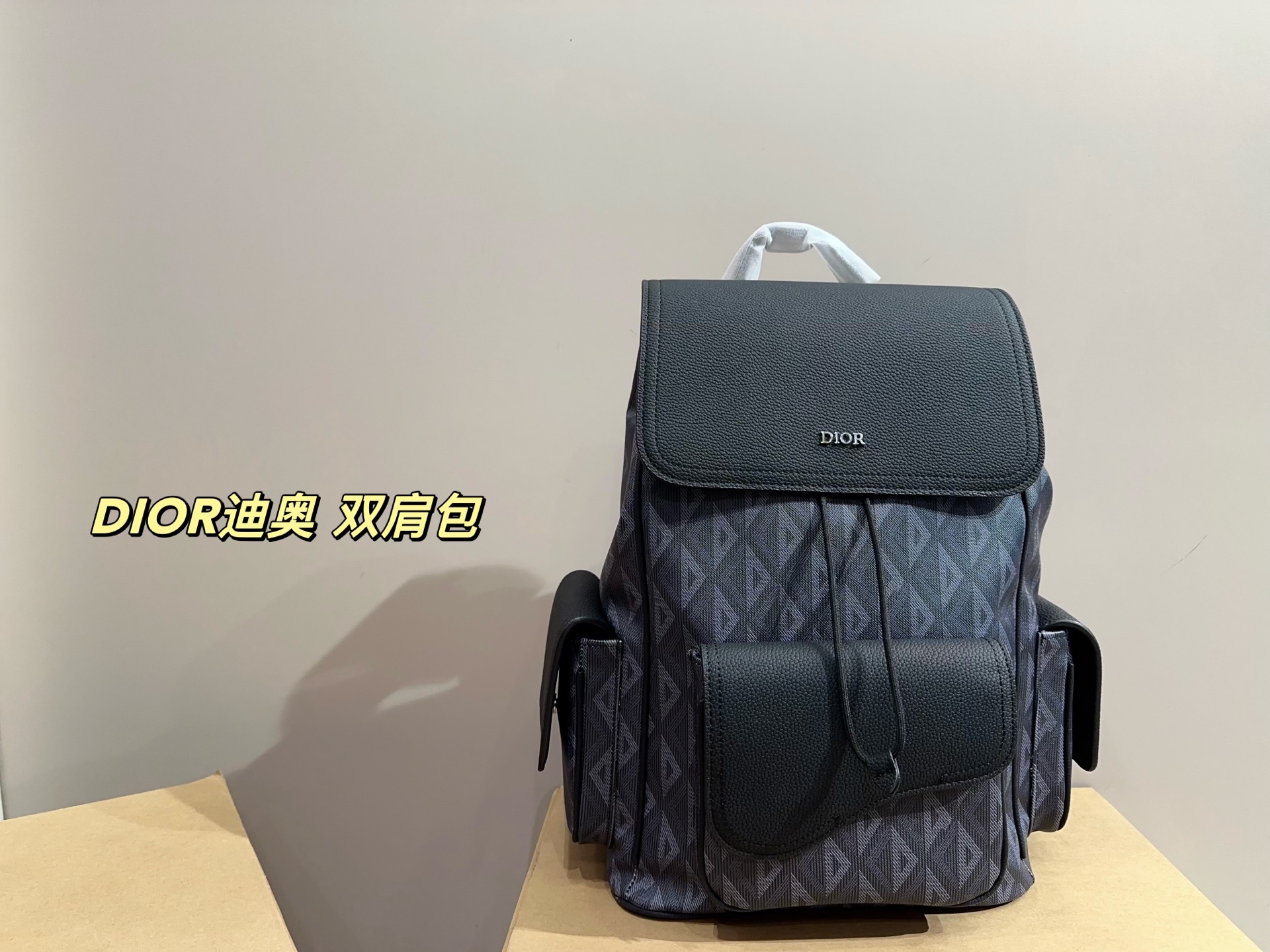 DIOR backpack