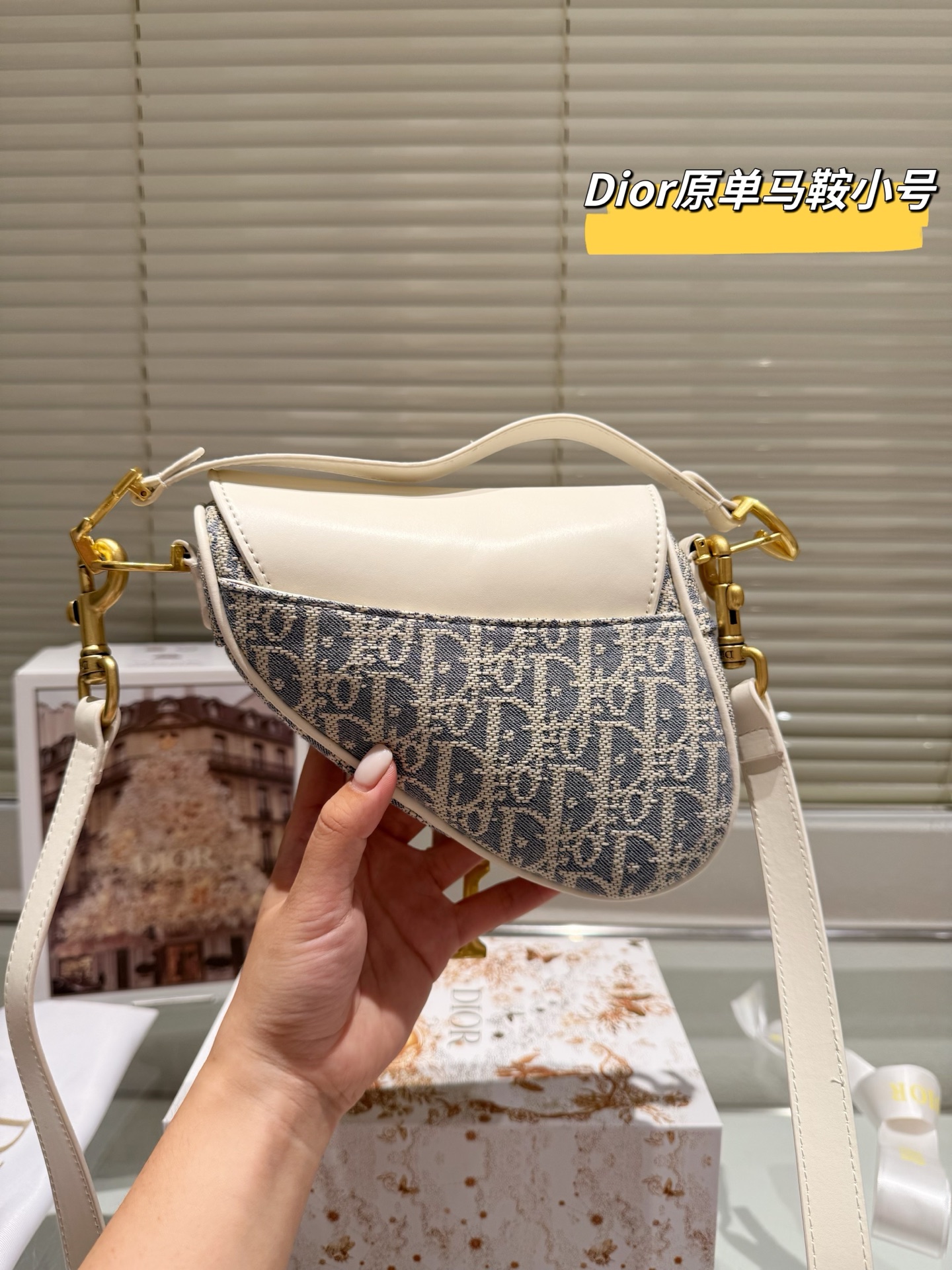 DIOR's new saddle bag