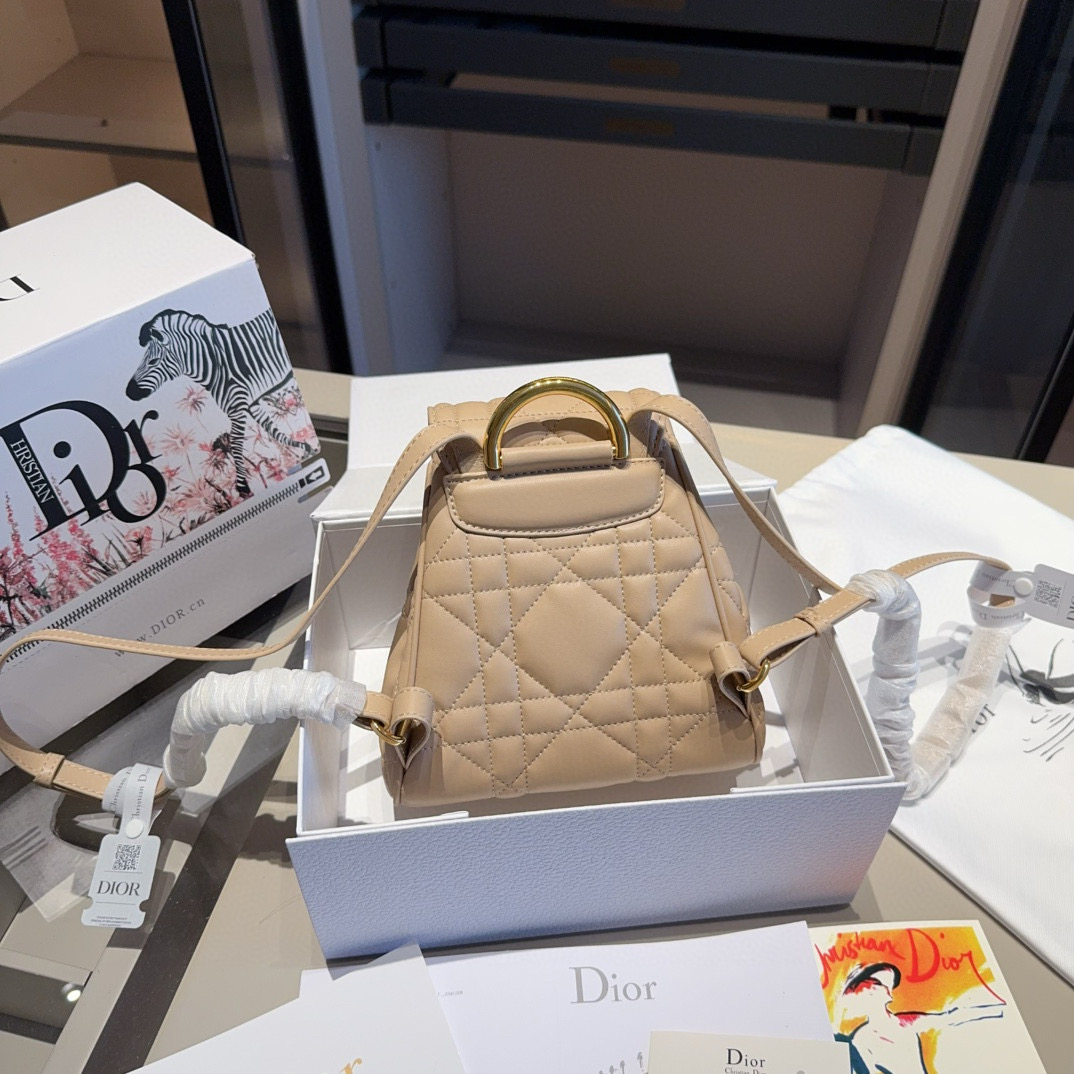 Dior CARO backpack