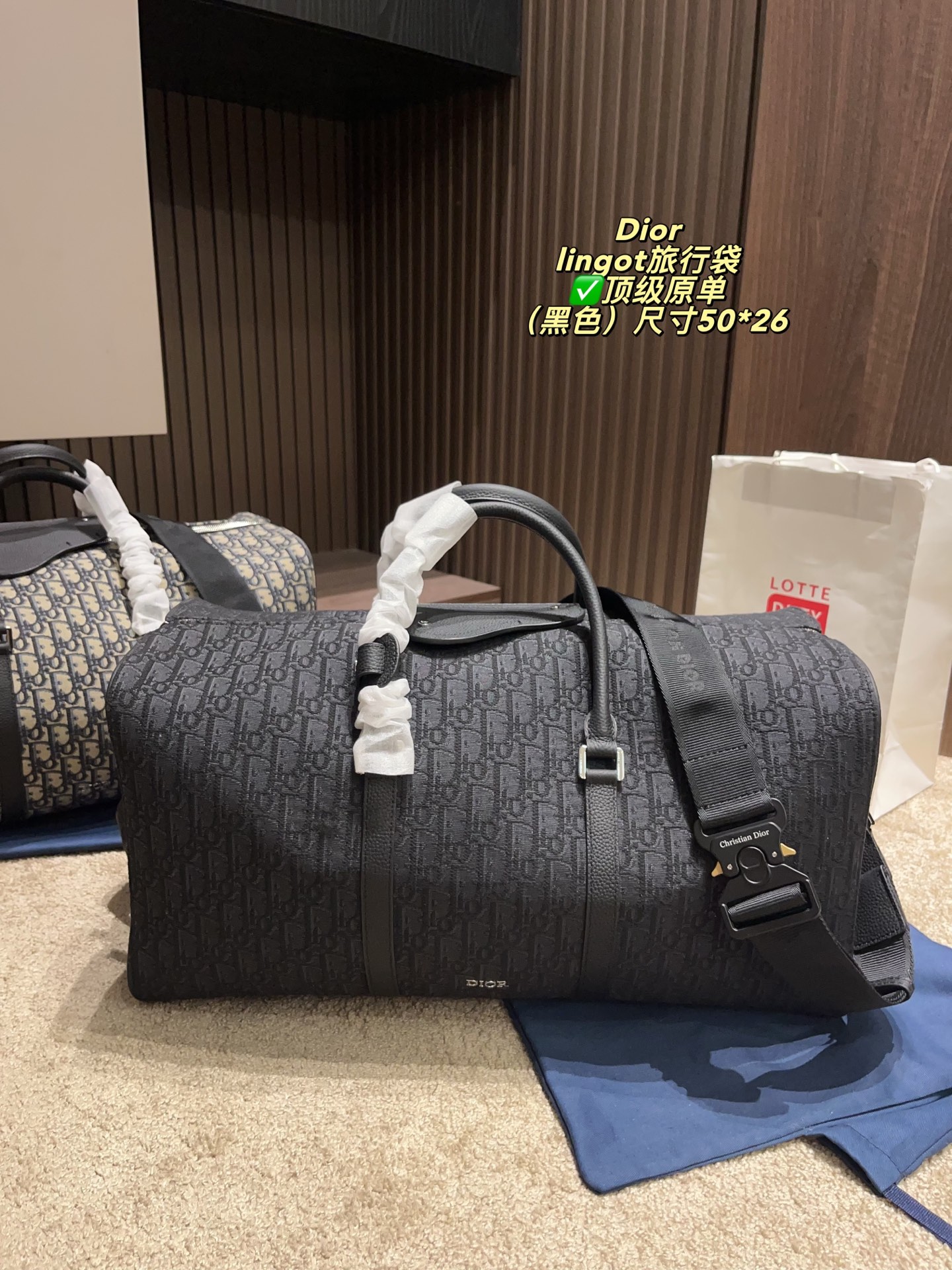 DIOR canvas travel bag