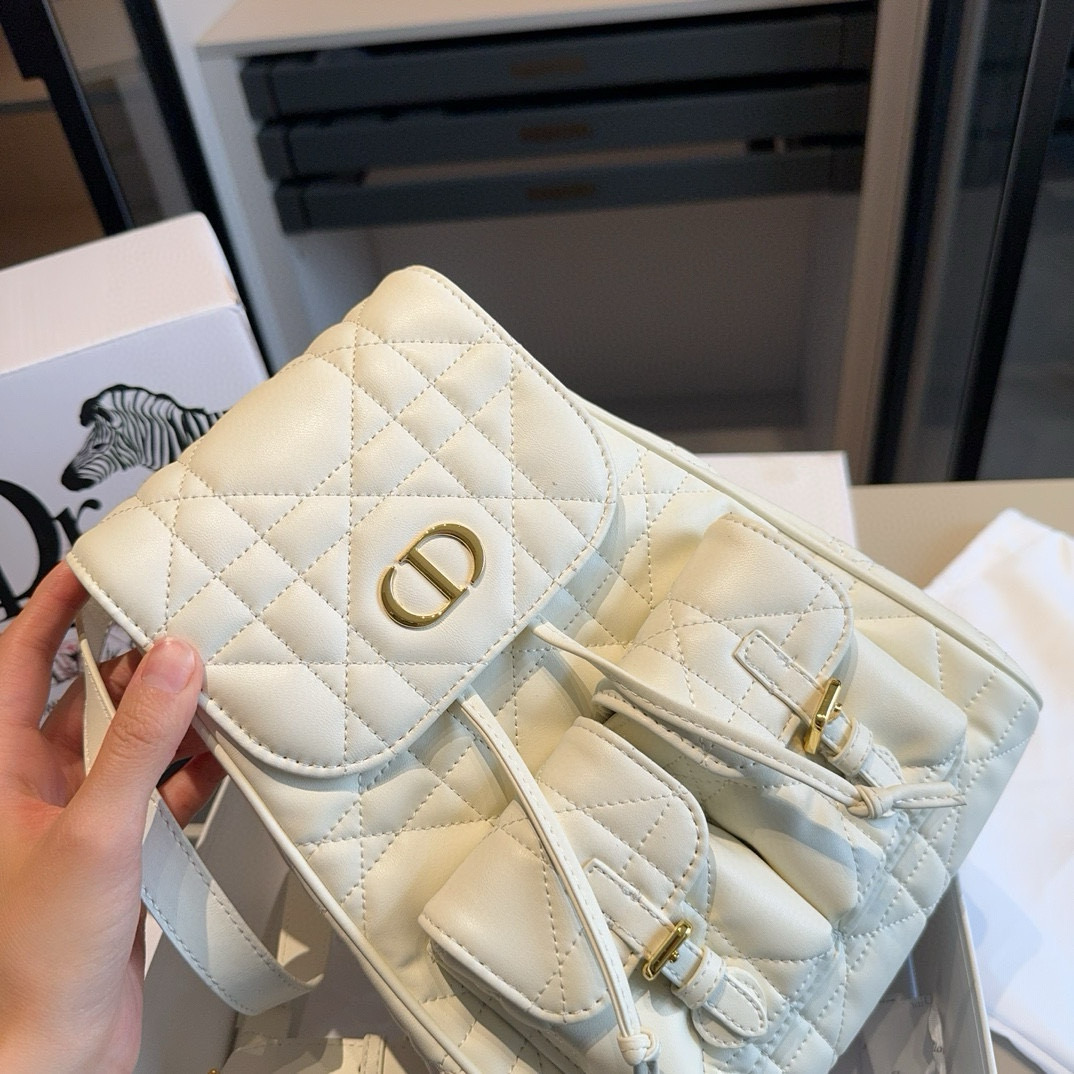 Dior CARO backpack