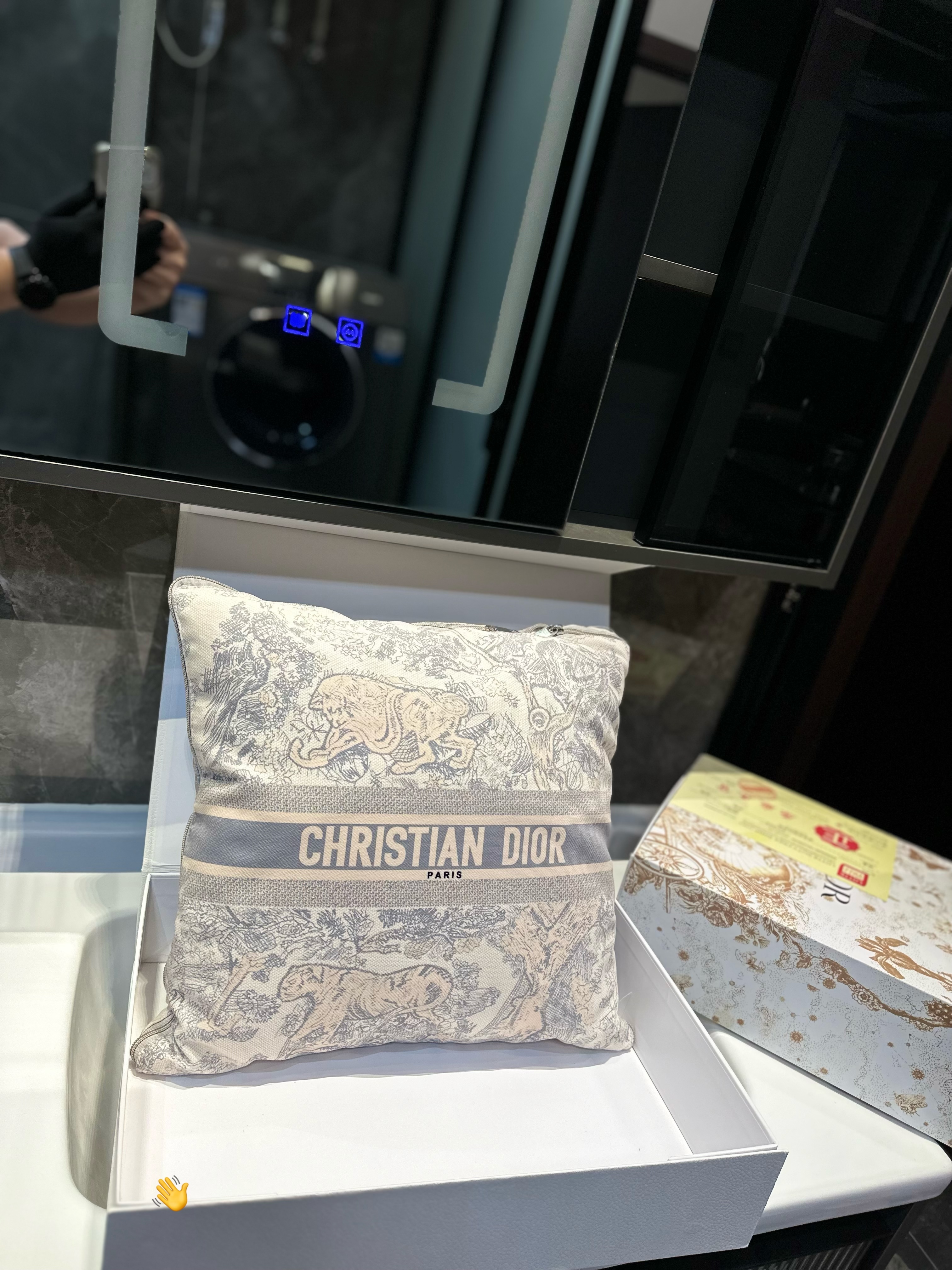 DIOR throw pillow
