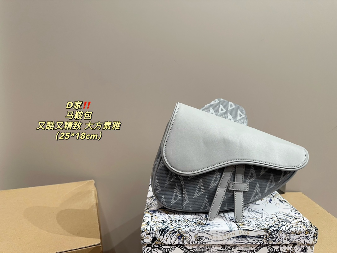 DIOR saddle bag