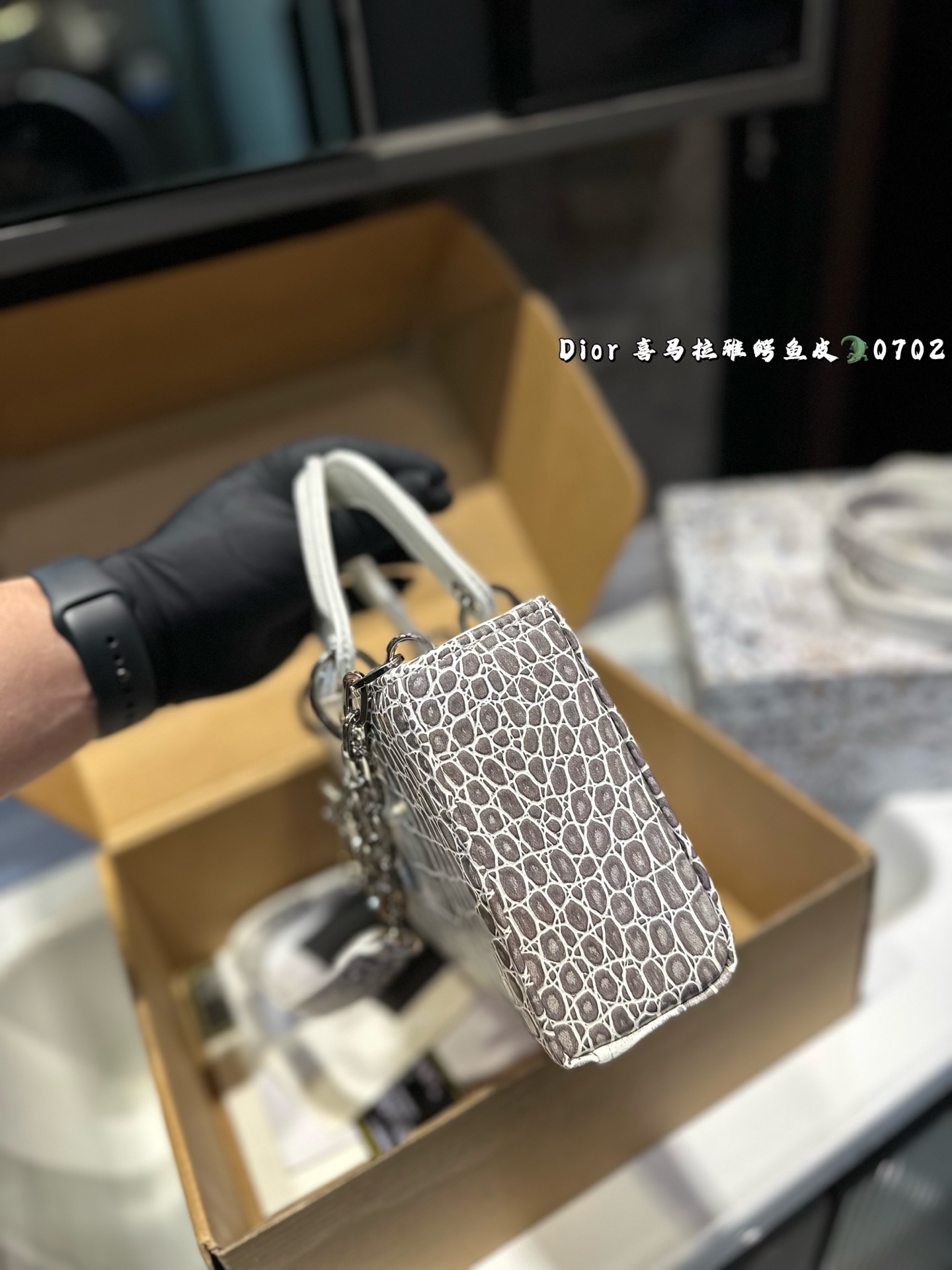 DIOR Lady D-joy horizontal Diana bag