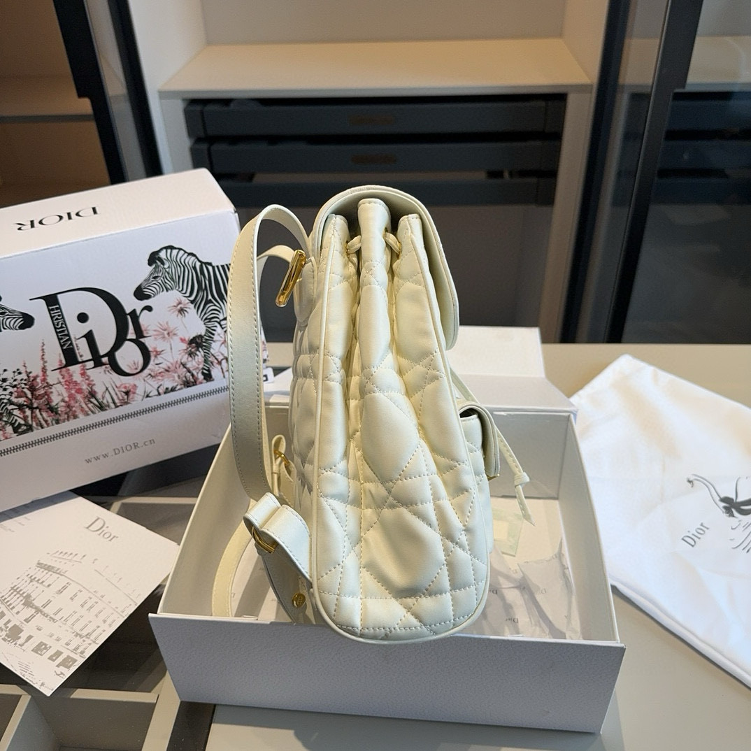 Dior CARO backpack