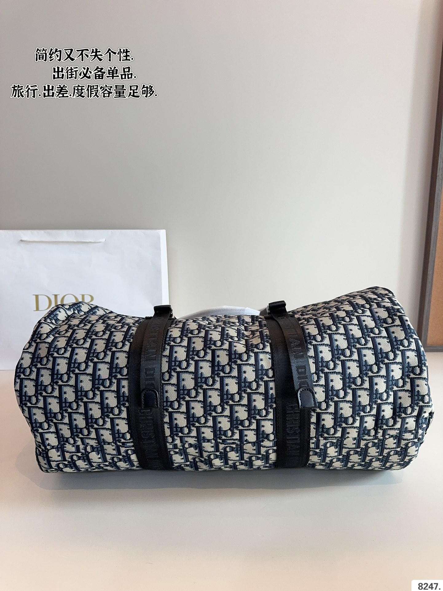 DIOR travel bag