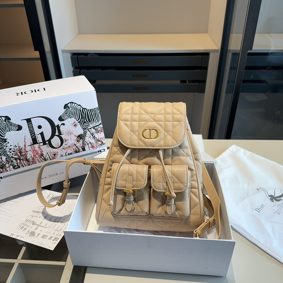 Dior CARO backpack