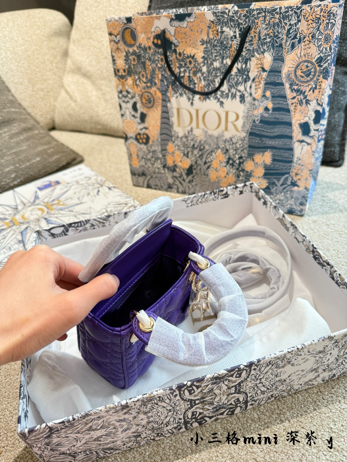 Dior D-Joy bag
