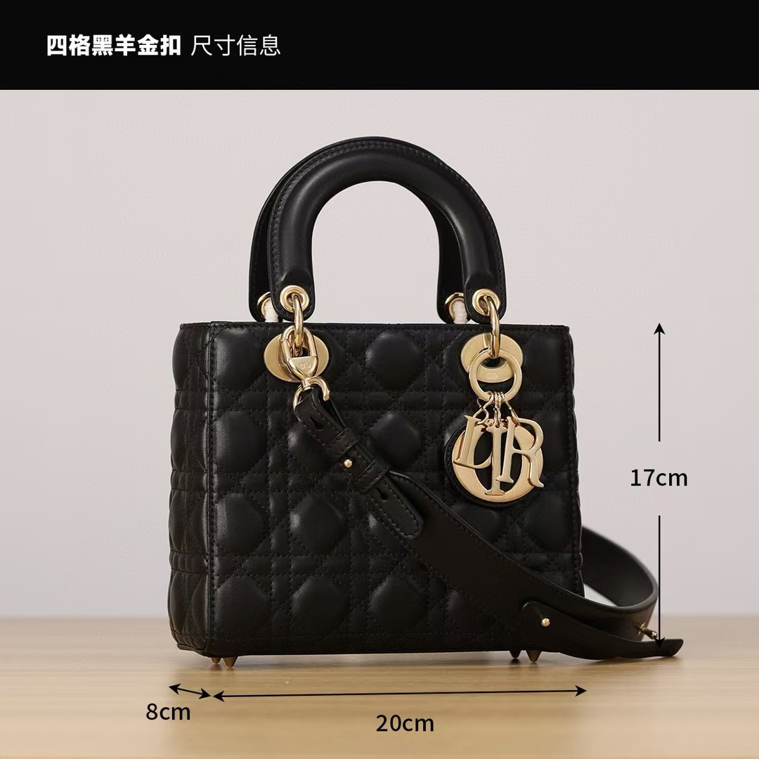 Top version 100% original Christian Dior bag