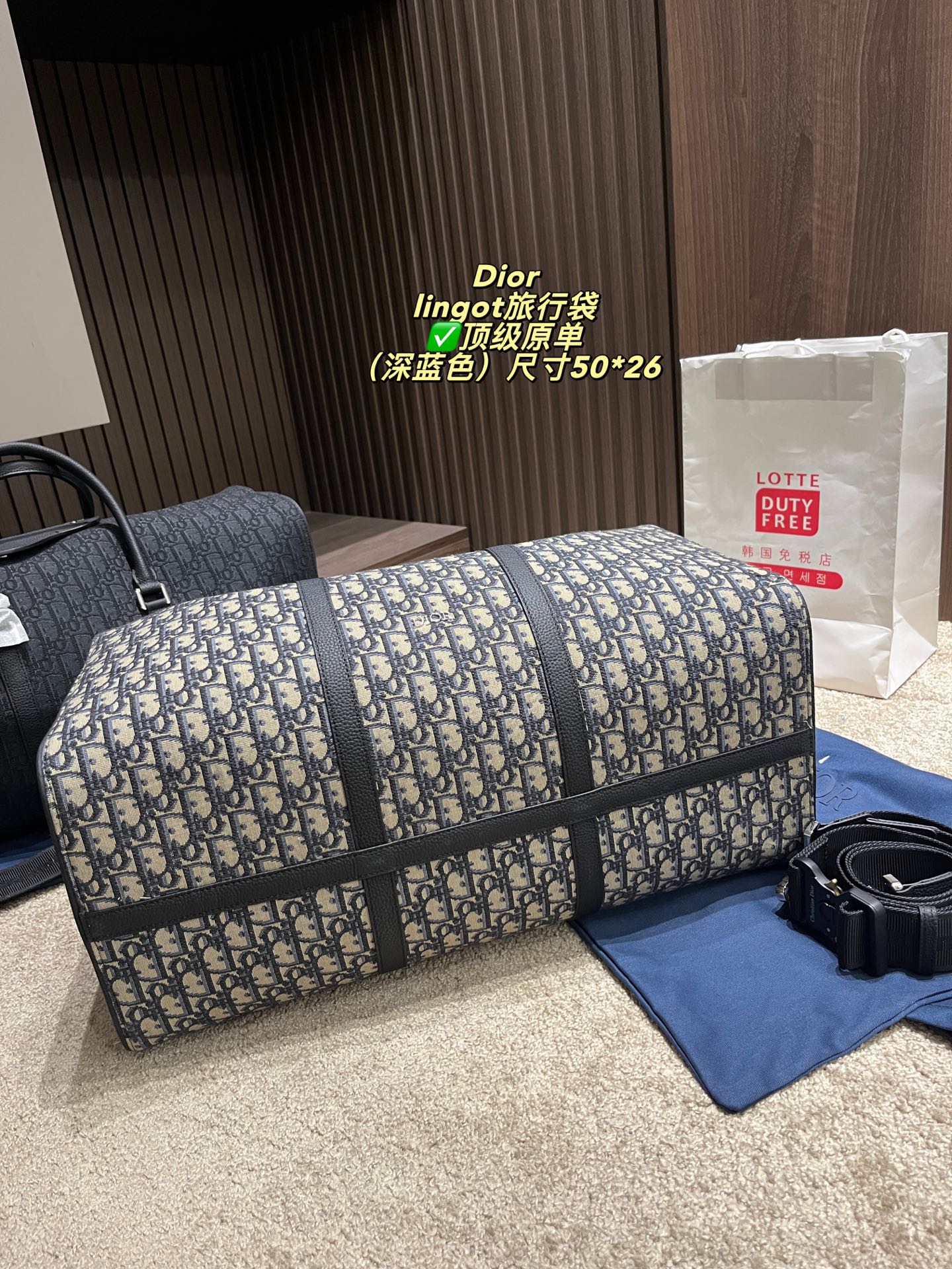 DIOR canvas travel bag