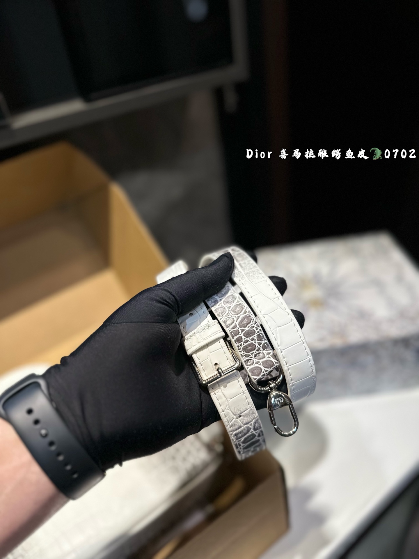 DIOR Lady D-joy horizontal Diana bag