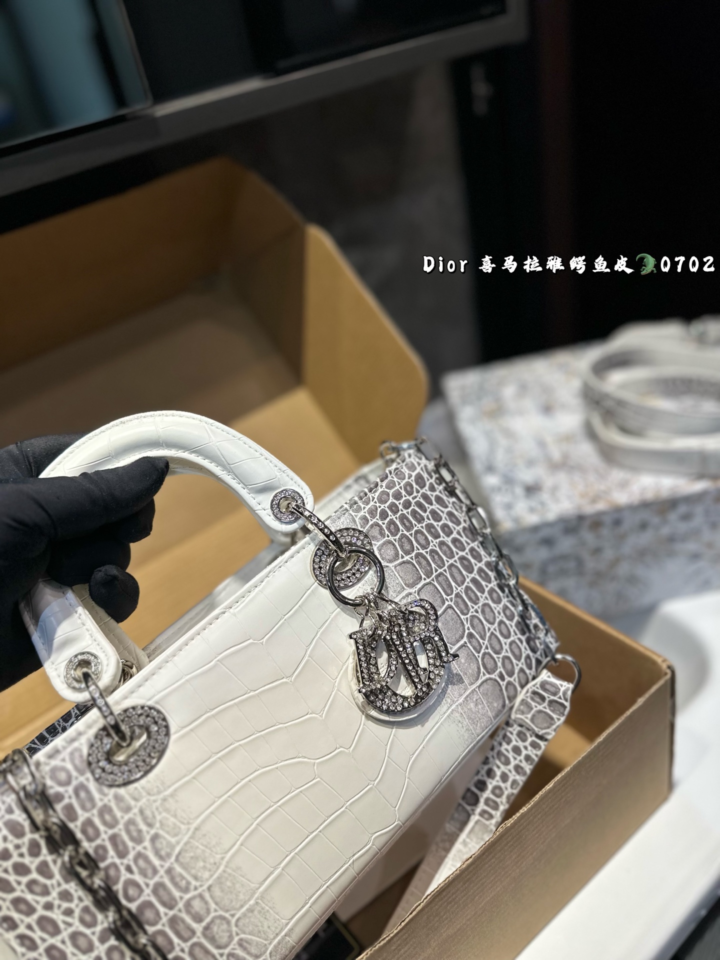 DIOR Lady D-joy horizontal Diana bag