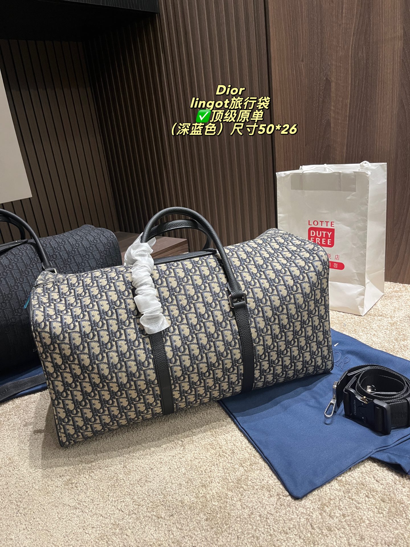 DIOR canvas travel bag