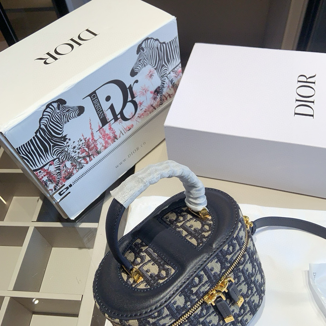 Dior Oblique Mini Case Bag