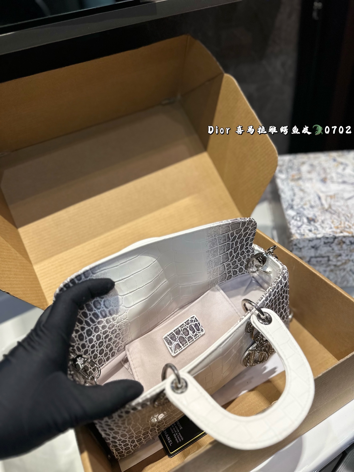 DIOR Lady D-joy horizontal Diana bag