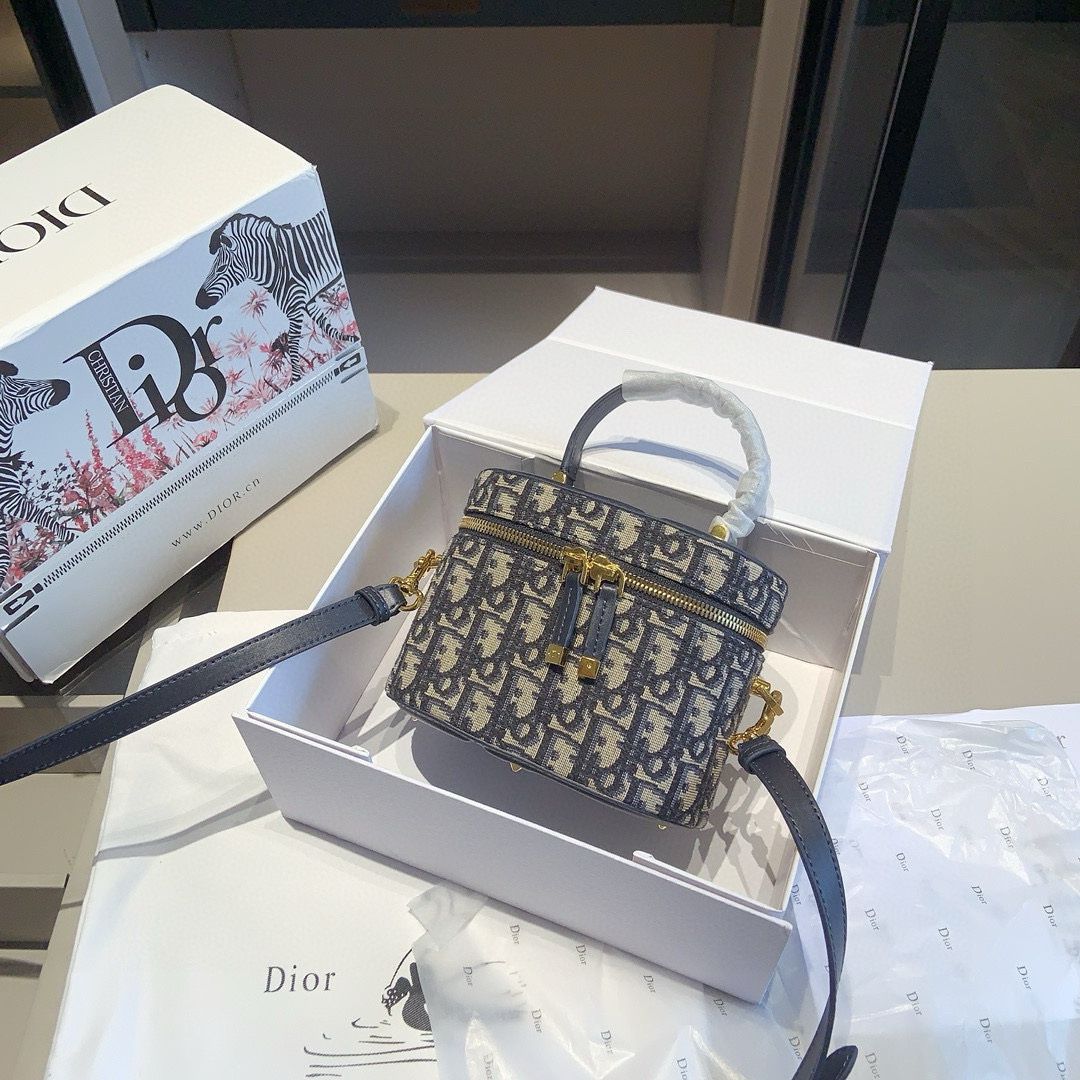 Dior Oblique Mini Case Bag
