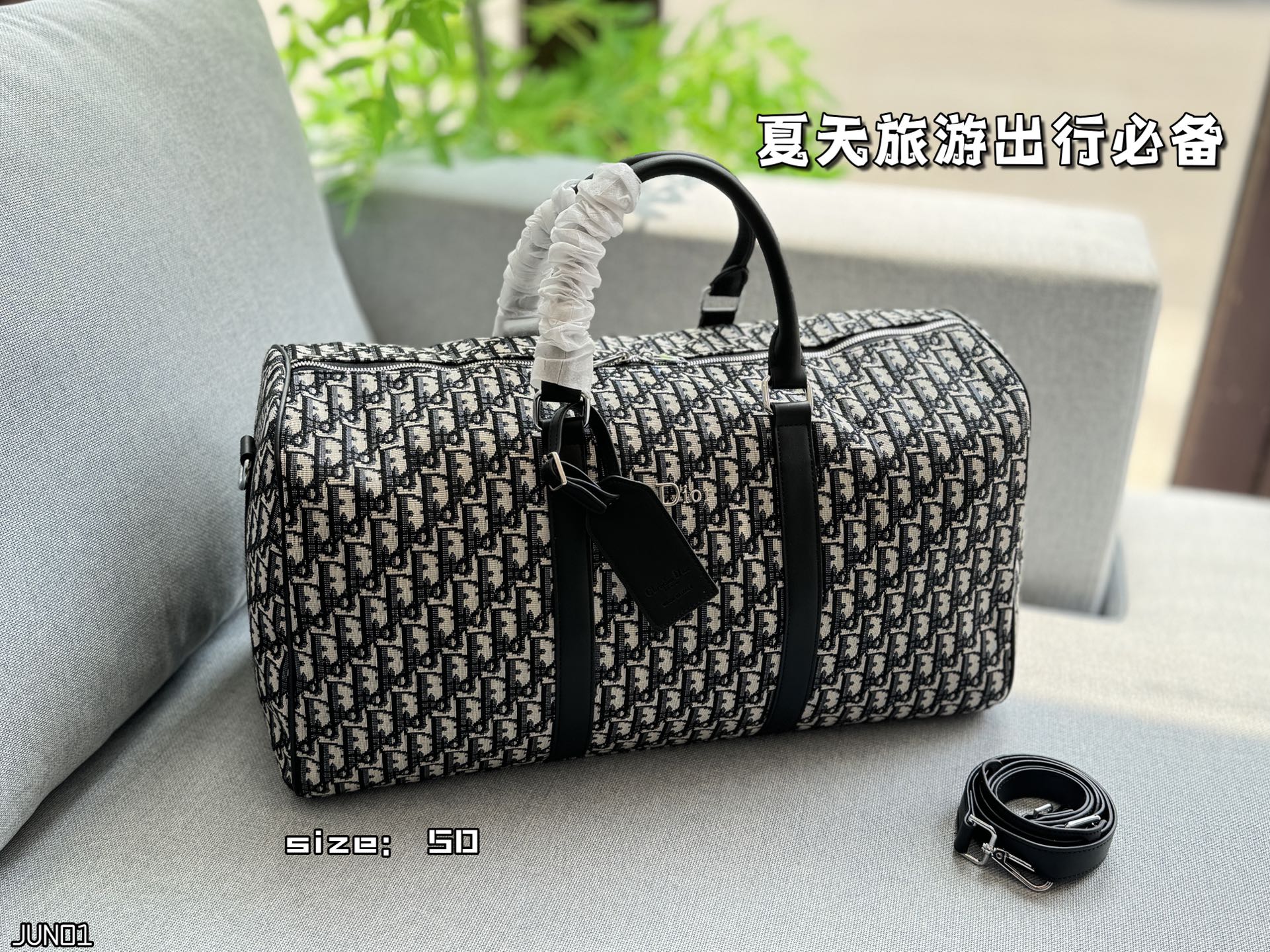 DIOR Lingot 50 handbag Oblique travel bag