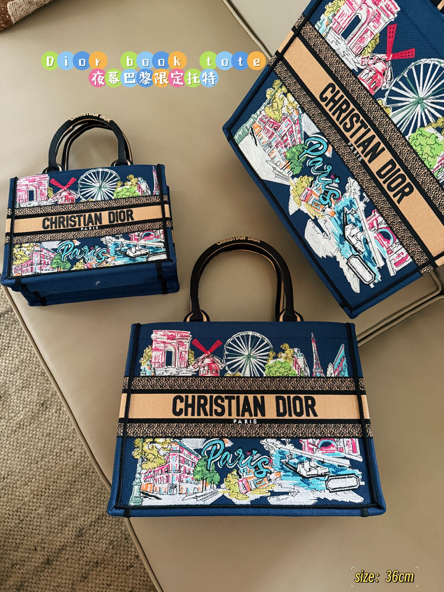 Dior tote bag CD Booktote25 handbag