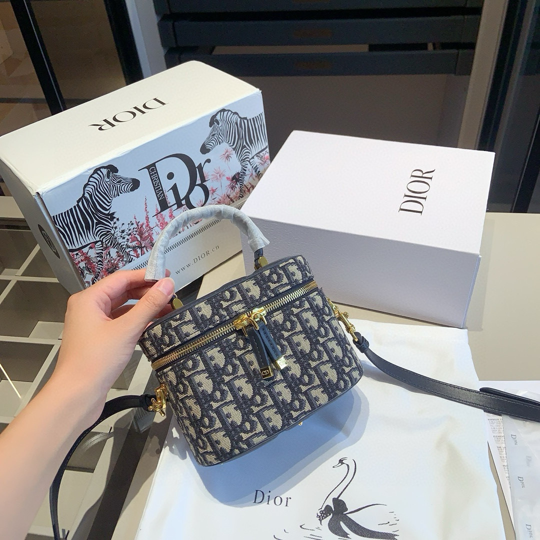 Dior Oblique Mini Case Bag