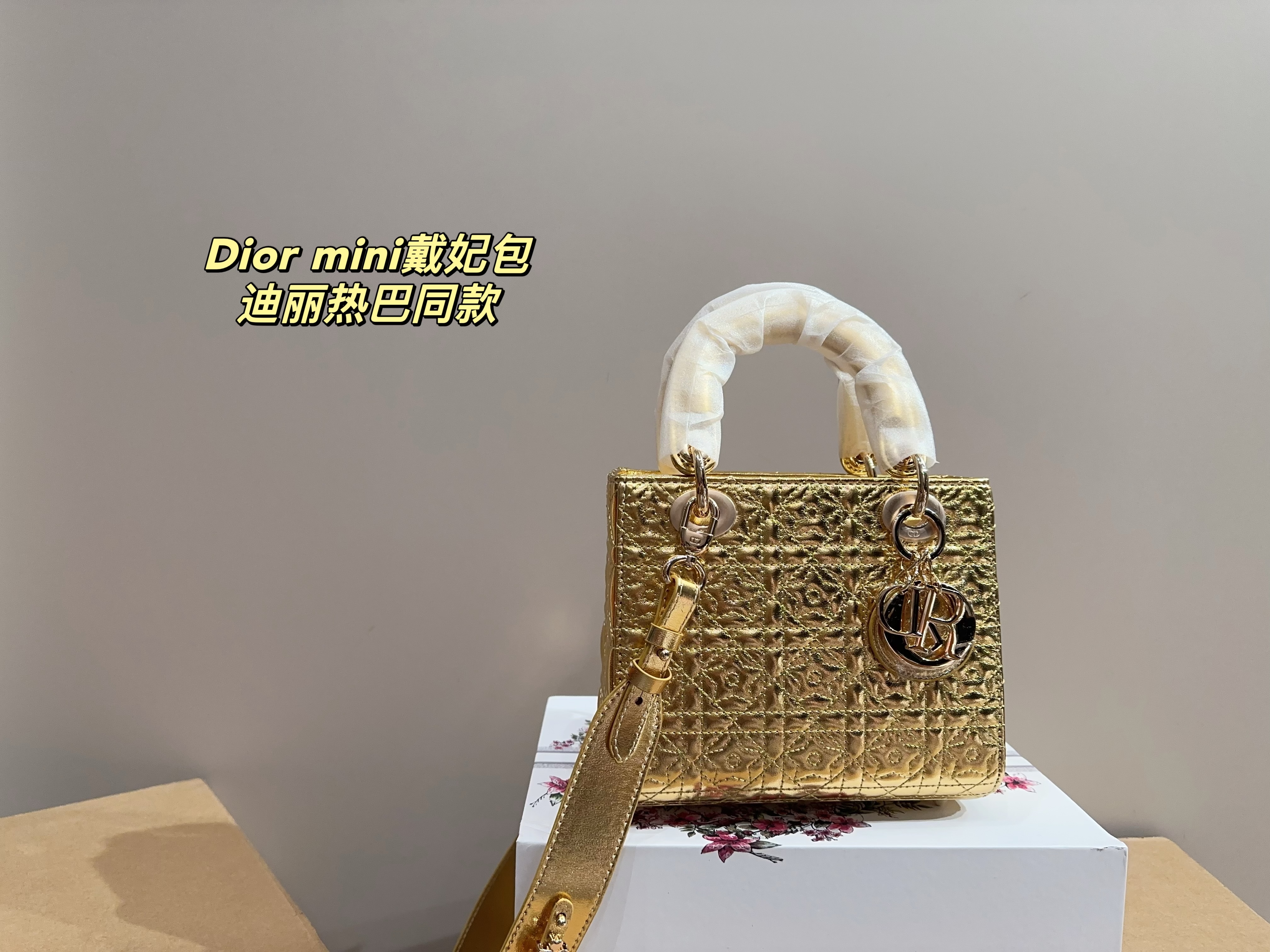 Dior mini handbag
