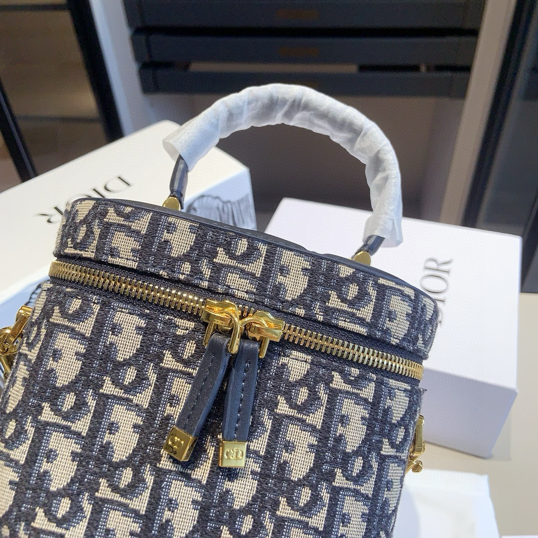 Dior Oblique Mini Case Bag