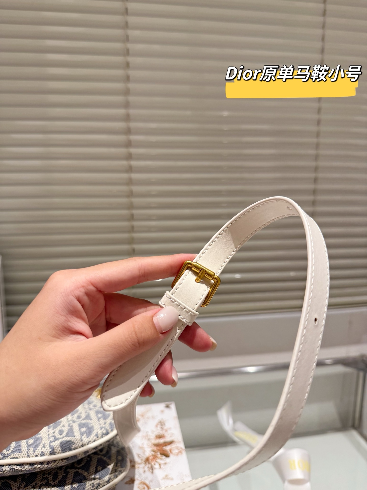 DIOR's new saddle bag