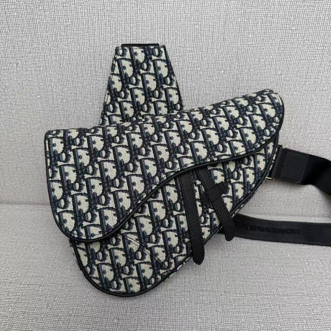 DIOR Saddle Oblique bag