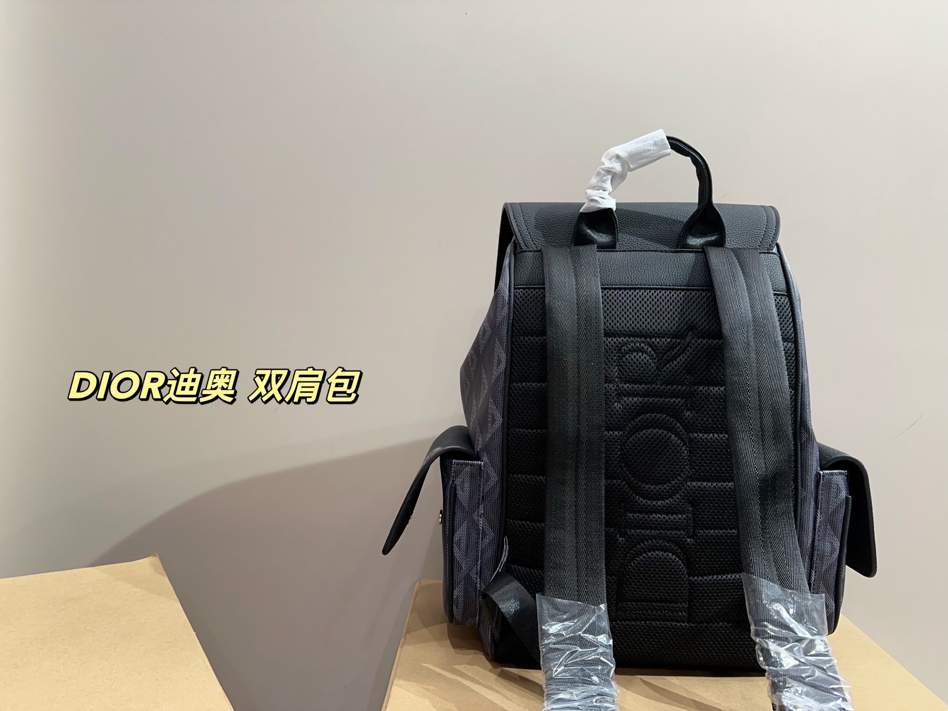 DIOR backpack