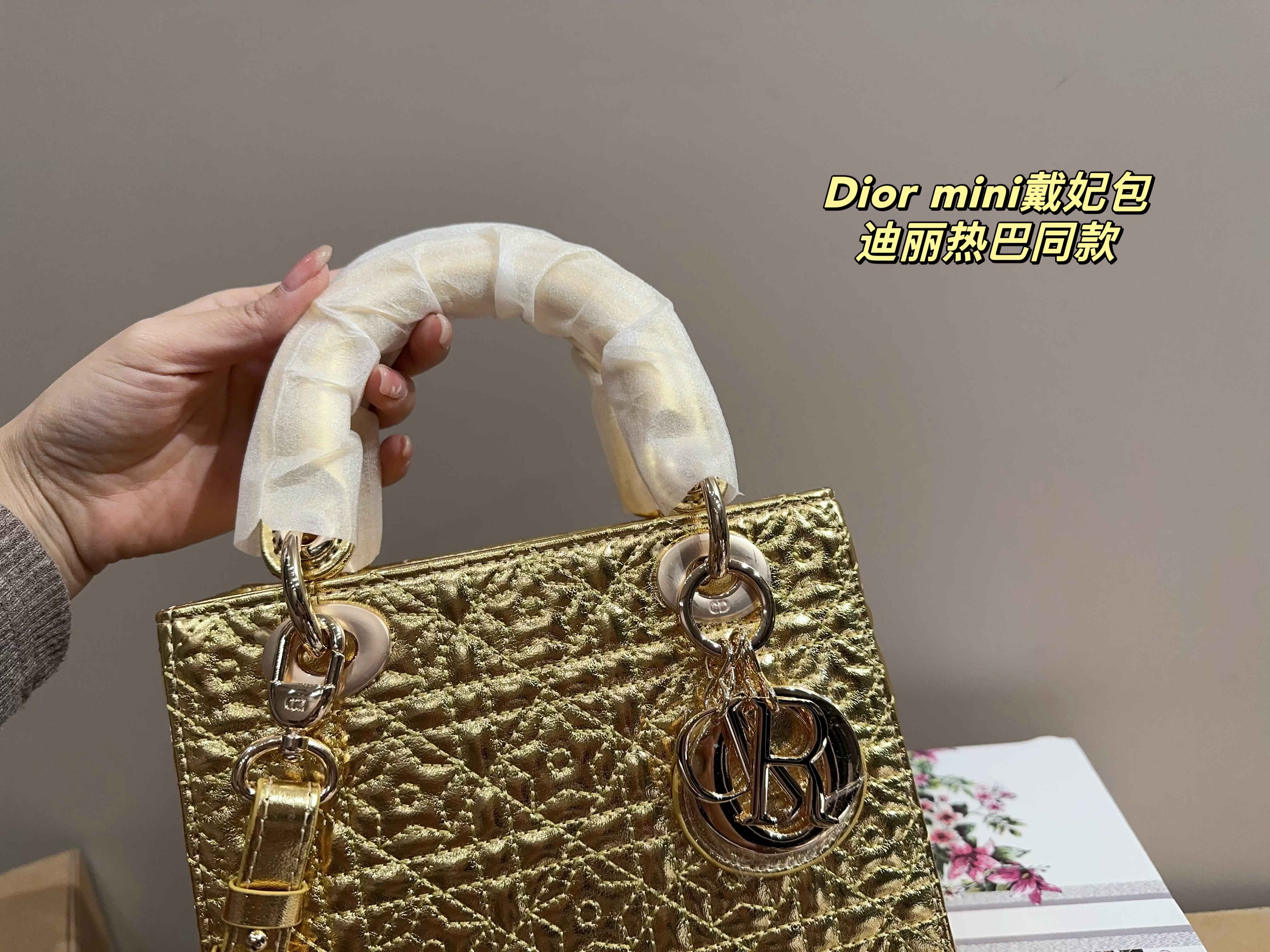 Dior mini handbag