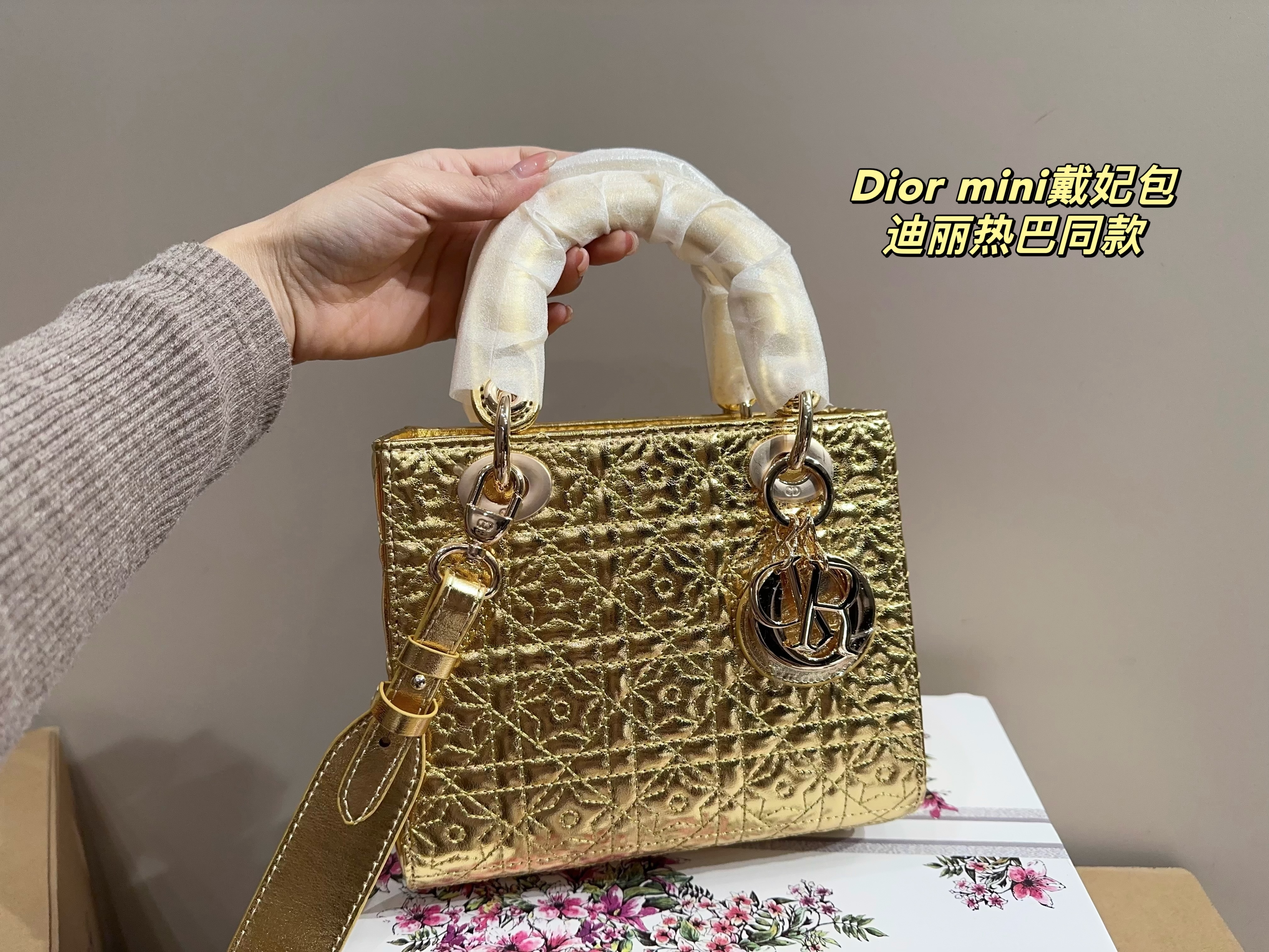 Dior mini handbag